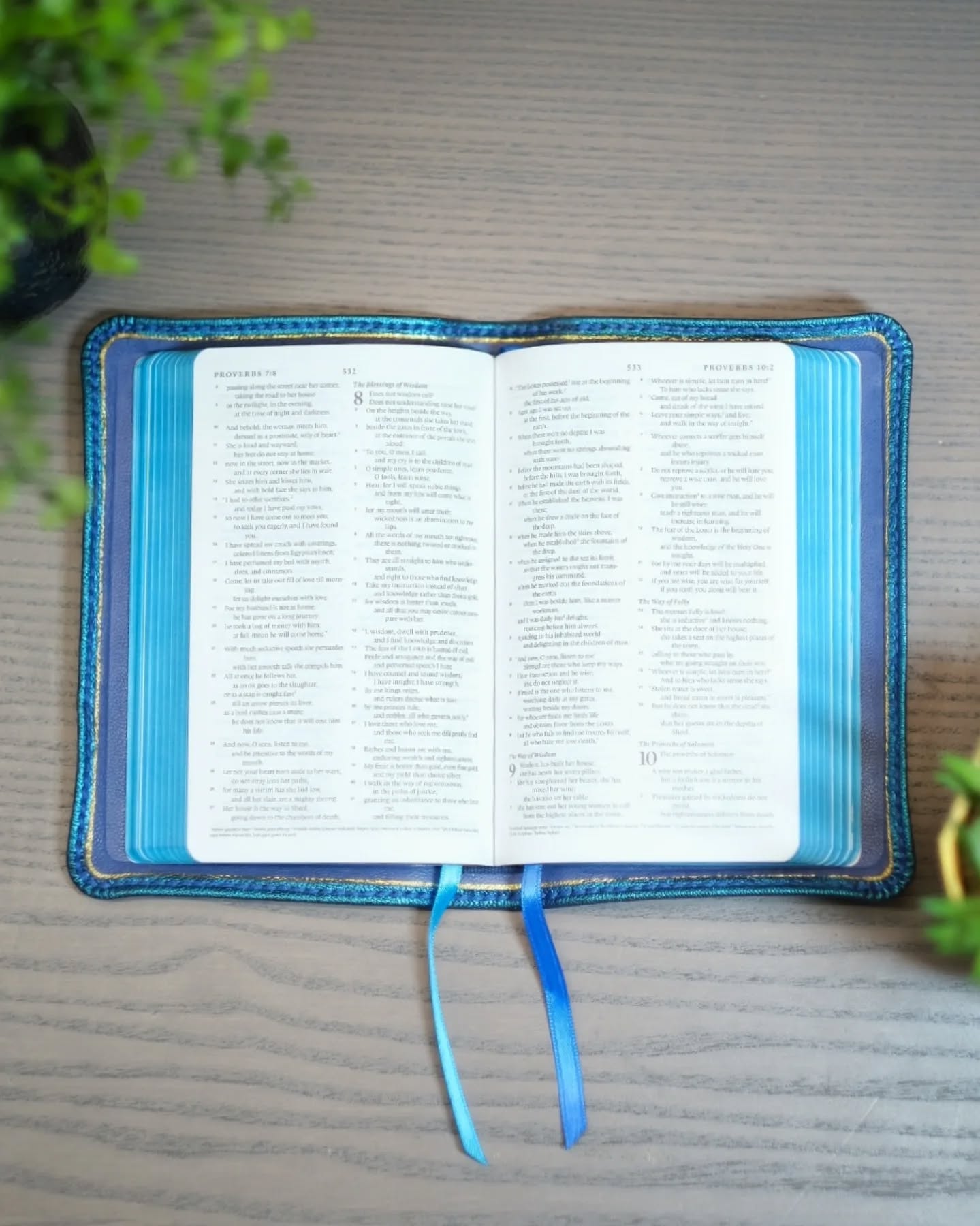 Candy Blue Leather ESV thumbnail 2