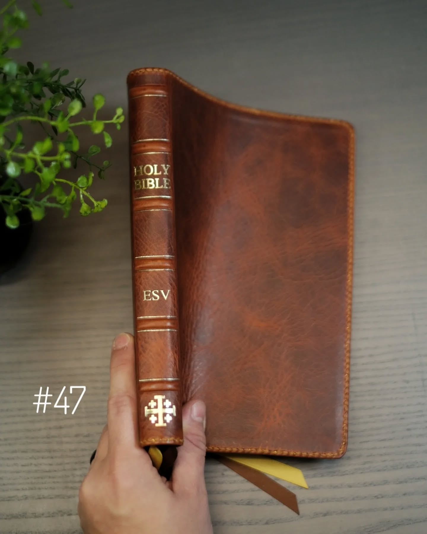 Olmo Badalassi Carlo Waxy ESV