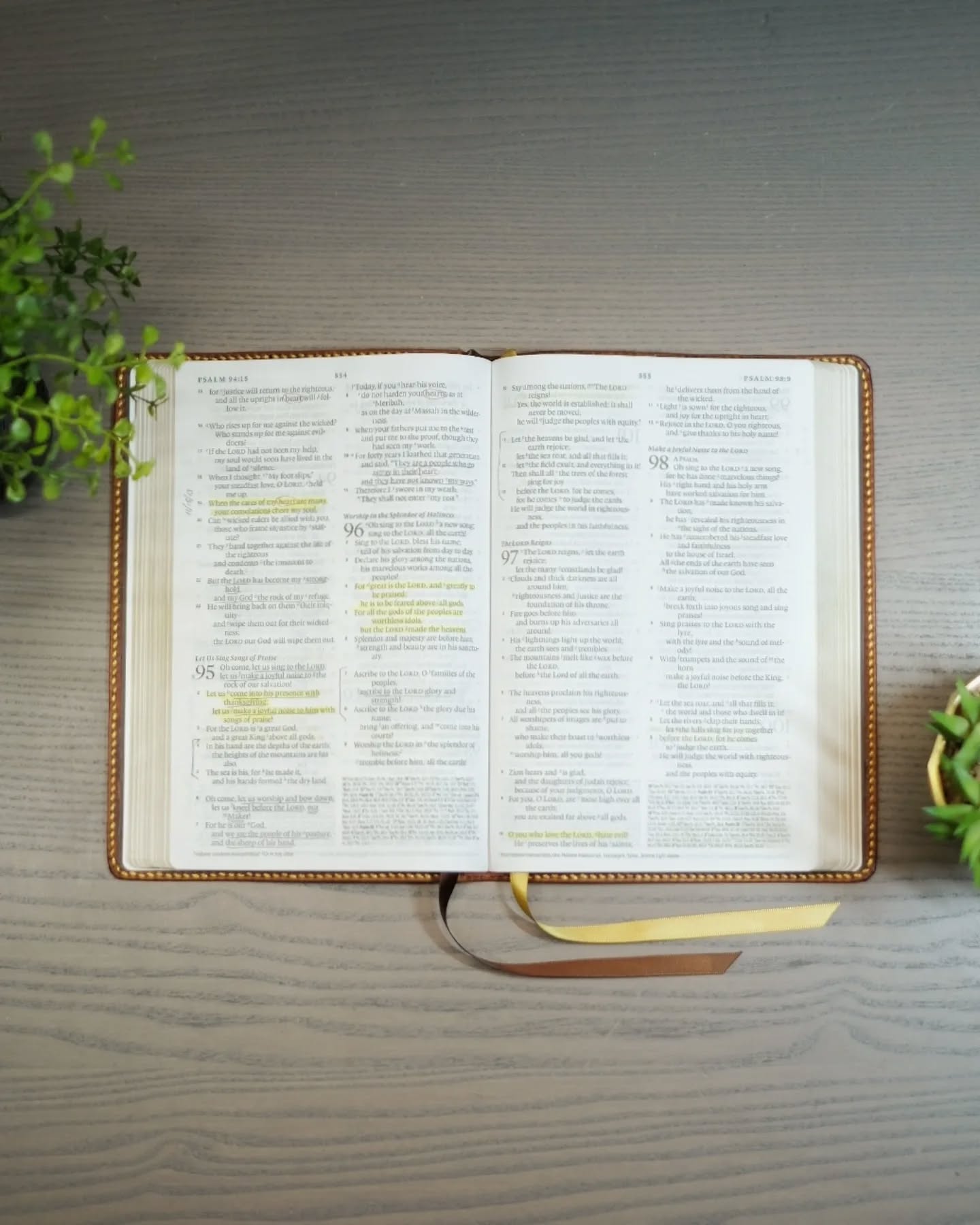 Olmo Badalassi Carlo Waxy ESV thumbnail 3