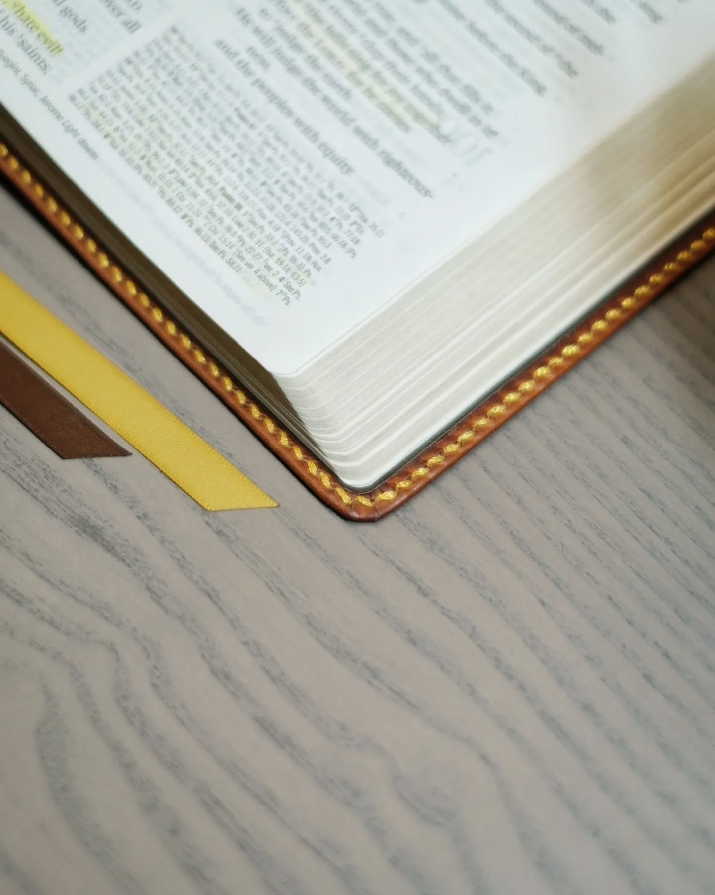 Olmo Badalassi Carlo Waxy ESV thumbnail 4