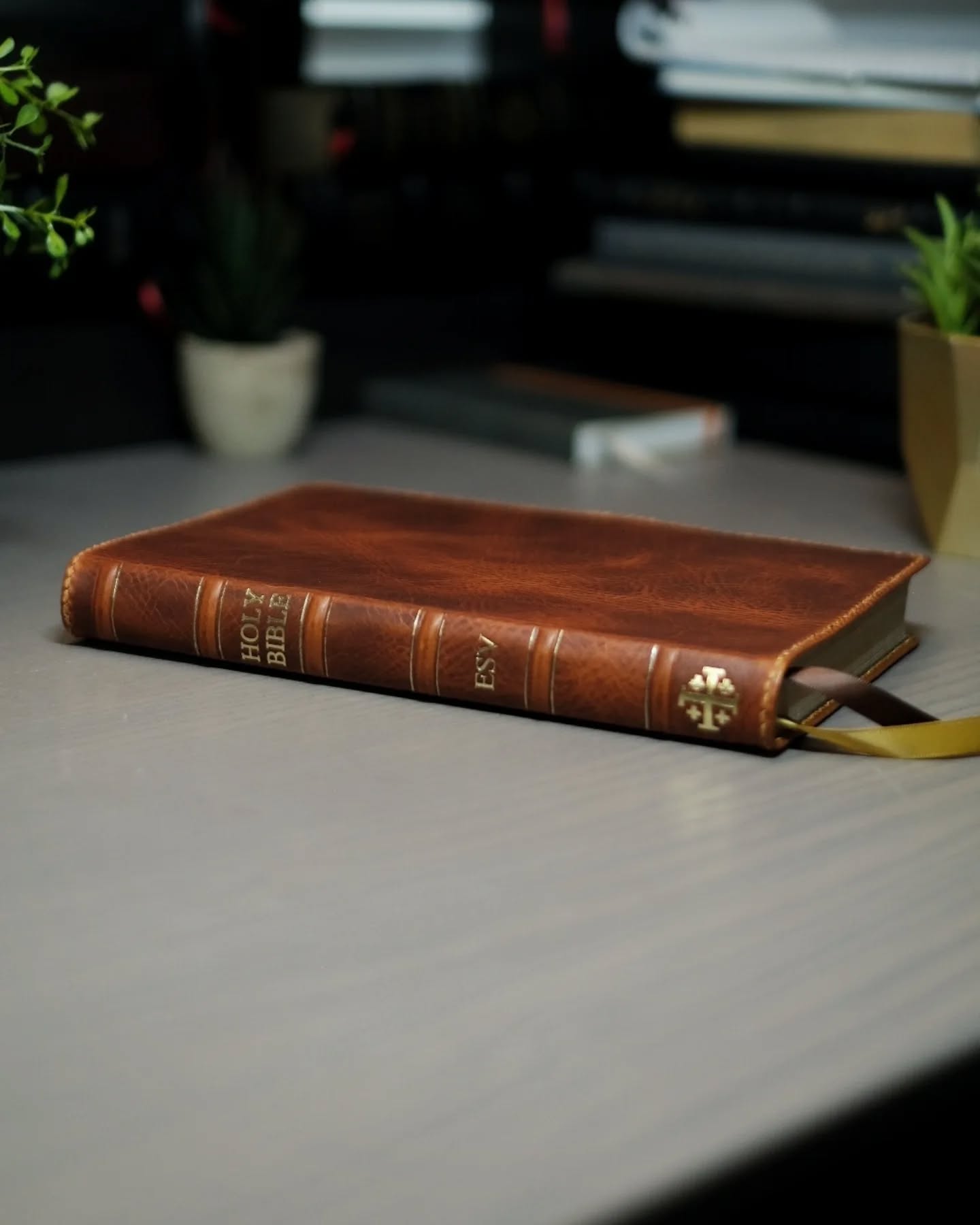 Olmo Badalassi Carlo Waxy ESV thumbnail 5