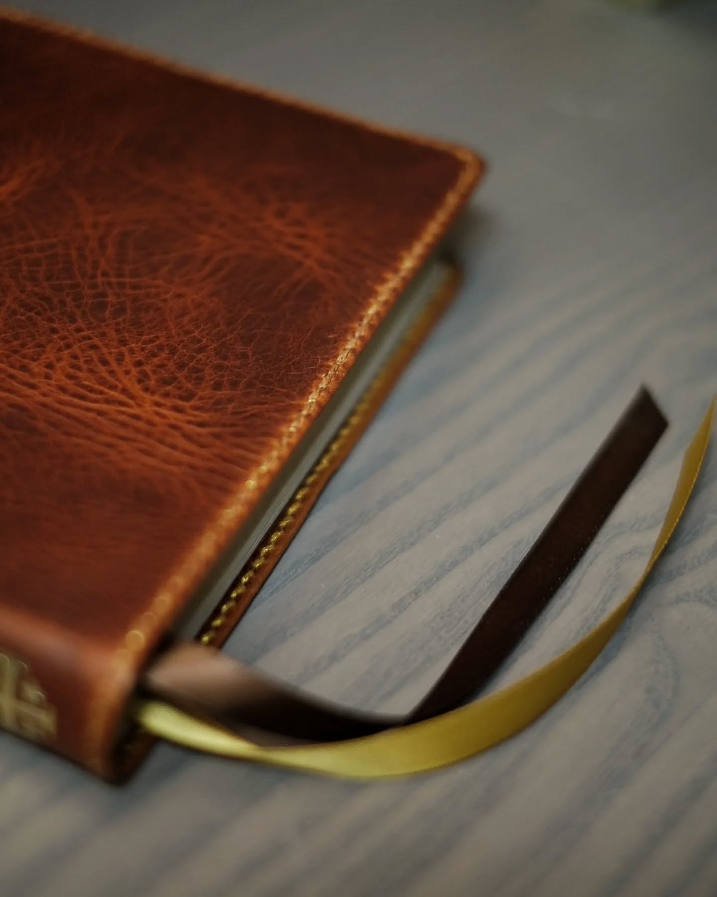 Olmo Badalassi Carlo Waxy ESV thumbnail 7