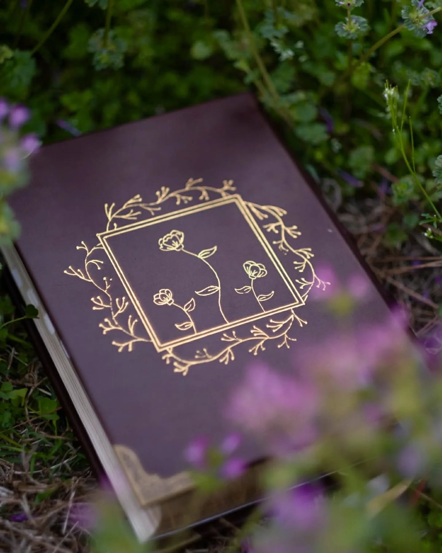 Oxblood Seidel Double Shot CSB thumbnail 3