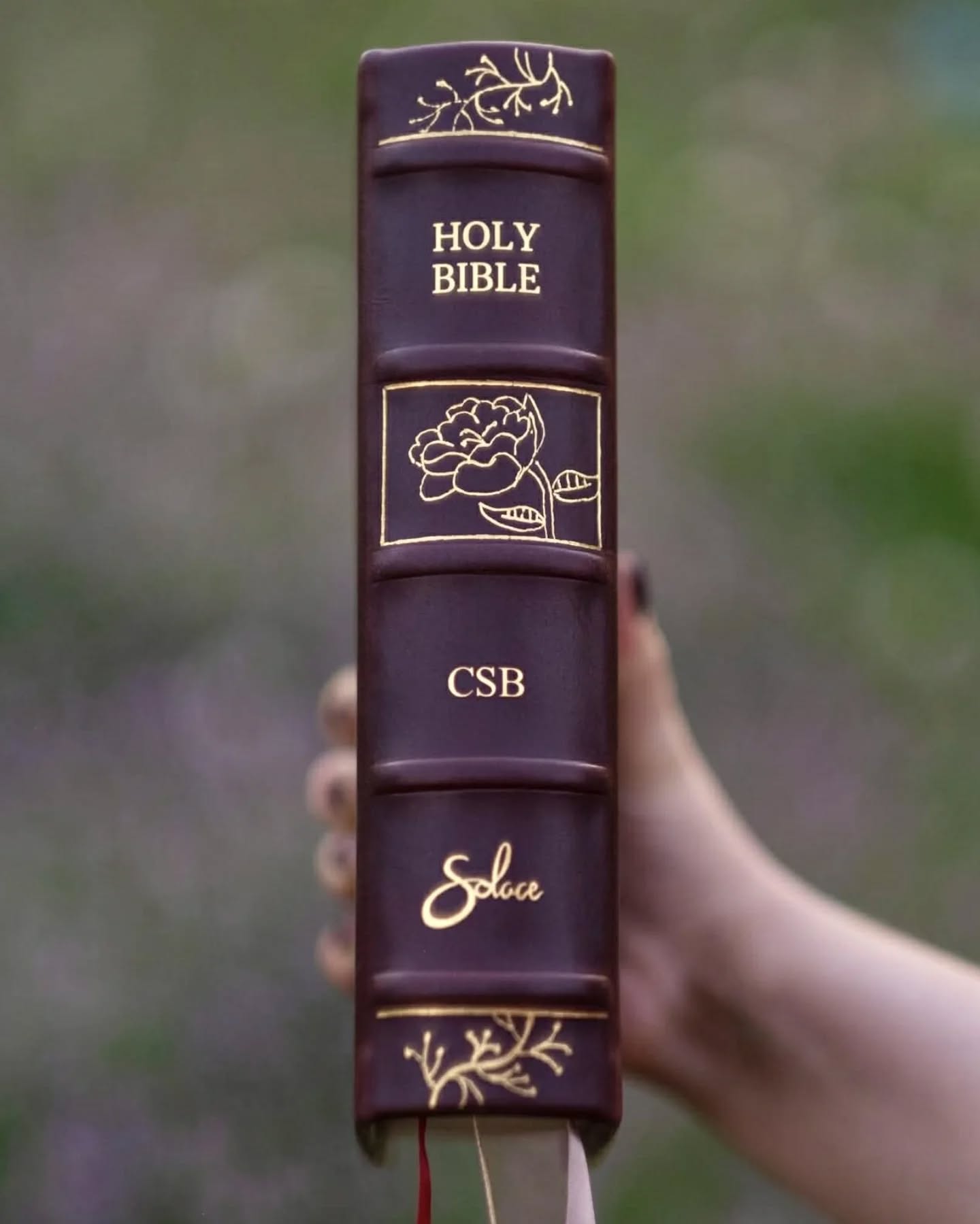 Oxblood Seidel Double Shot CSB thumbnail 5