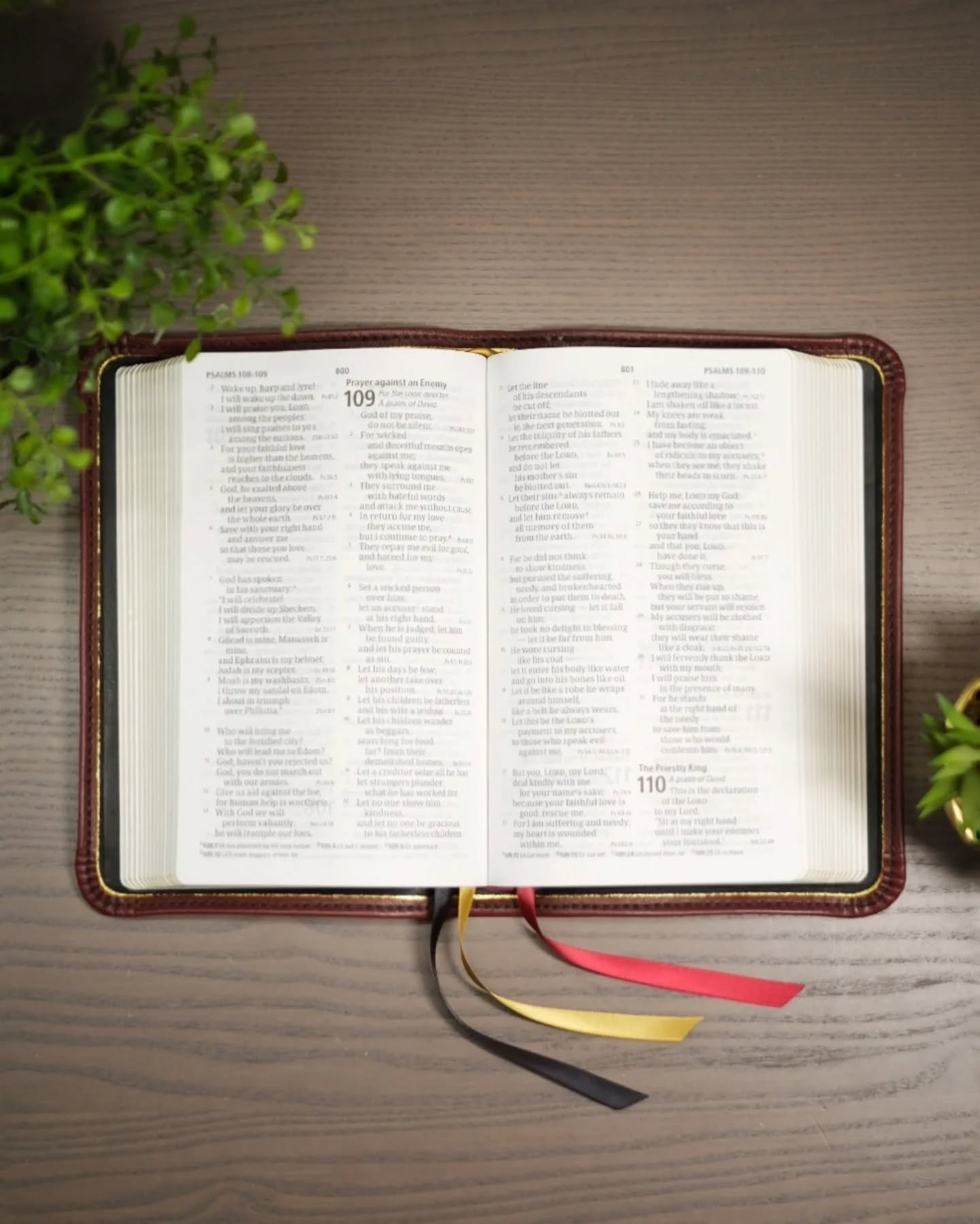 Crimson Leather ESV thumbnail 2