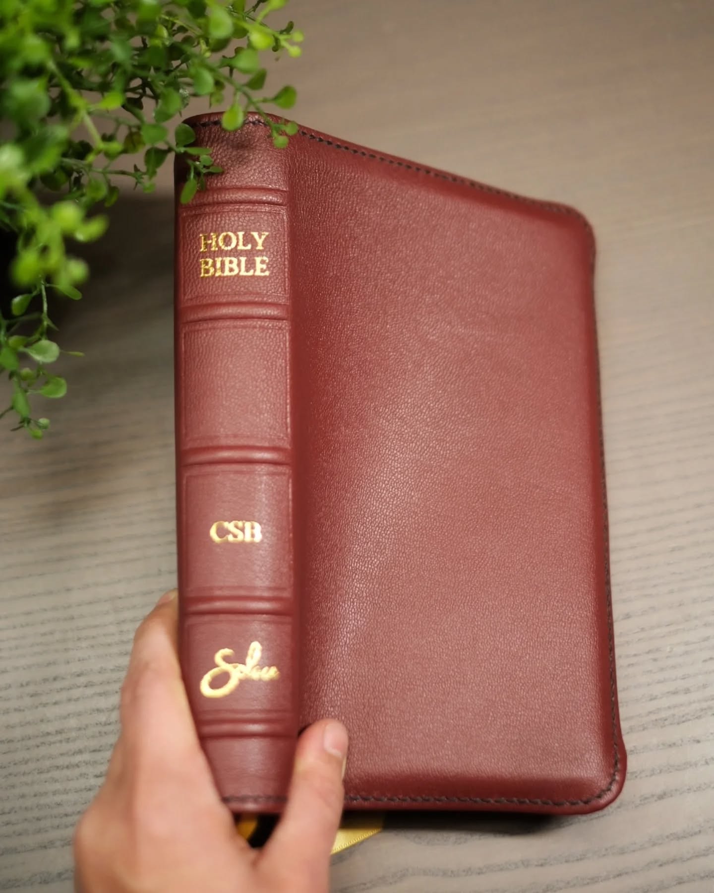 Crimson Leather ESV thumbnail 3