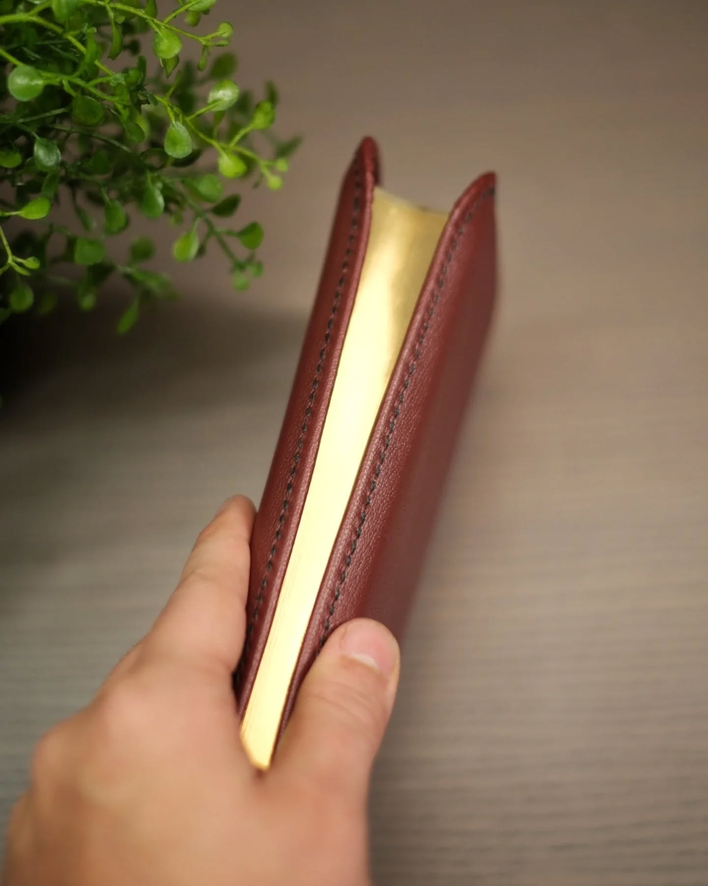 Crimson Goatskin CSB thumbnail 7