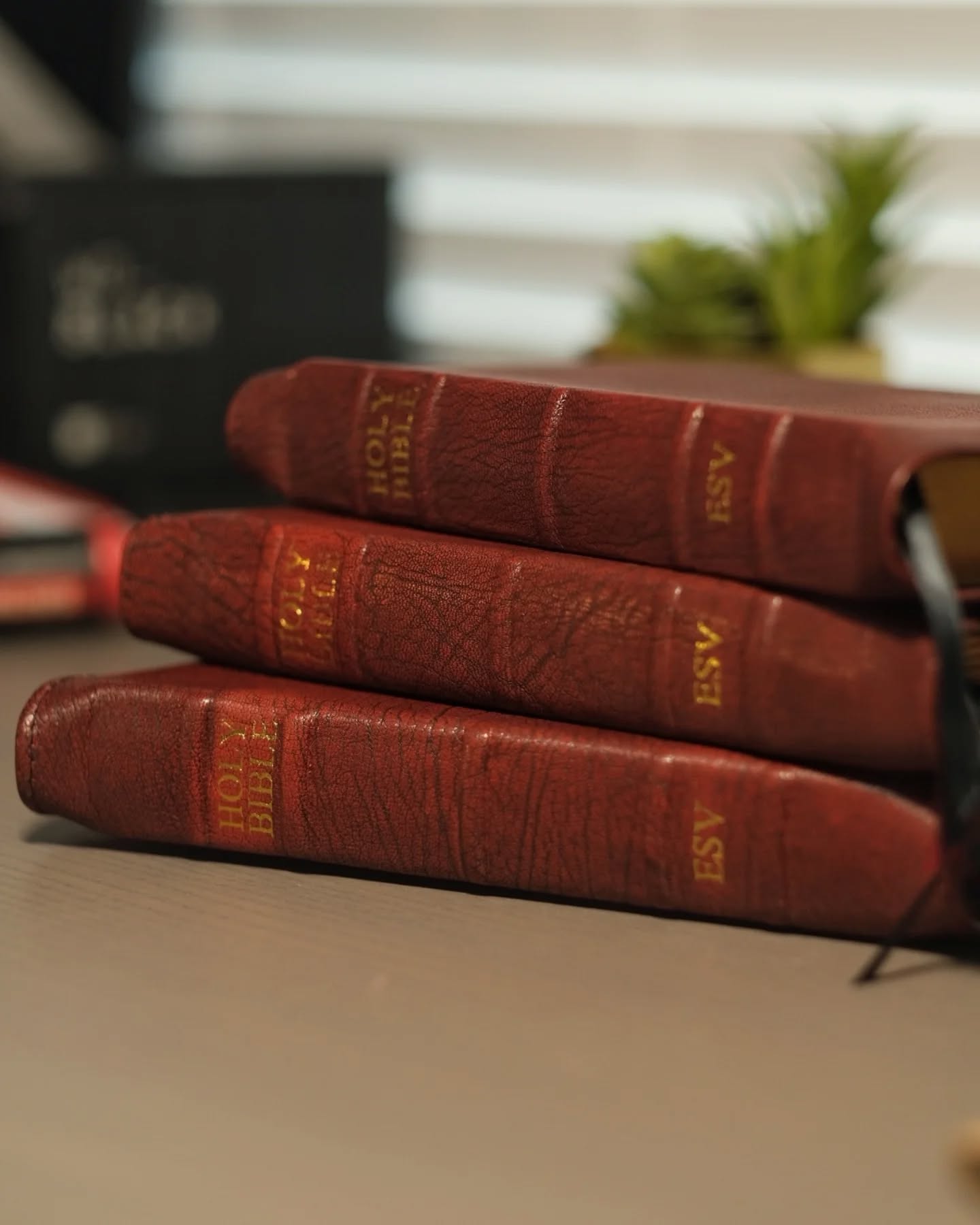 Red Wine Goatskin ESV thumbnail 3