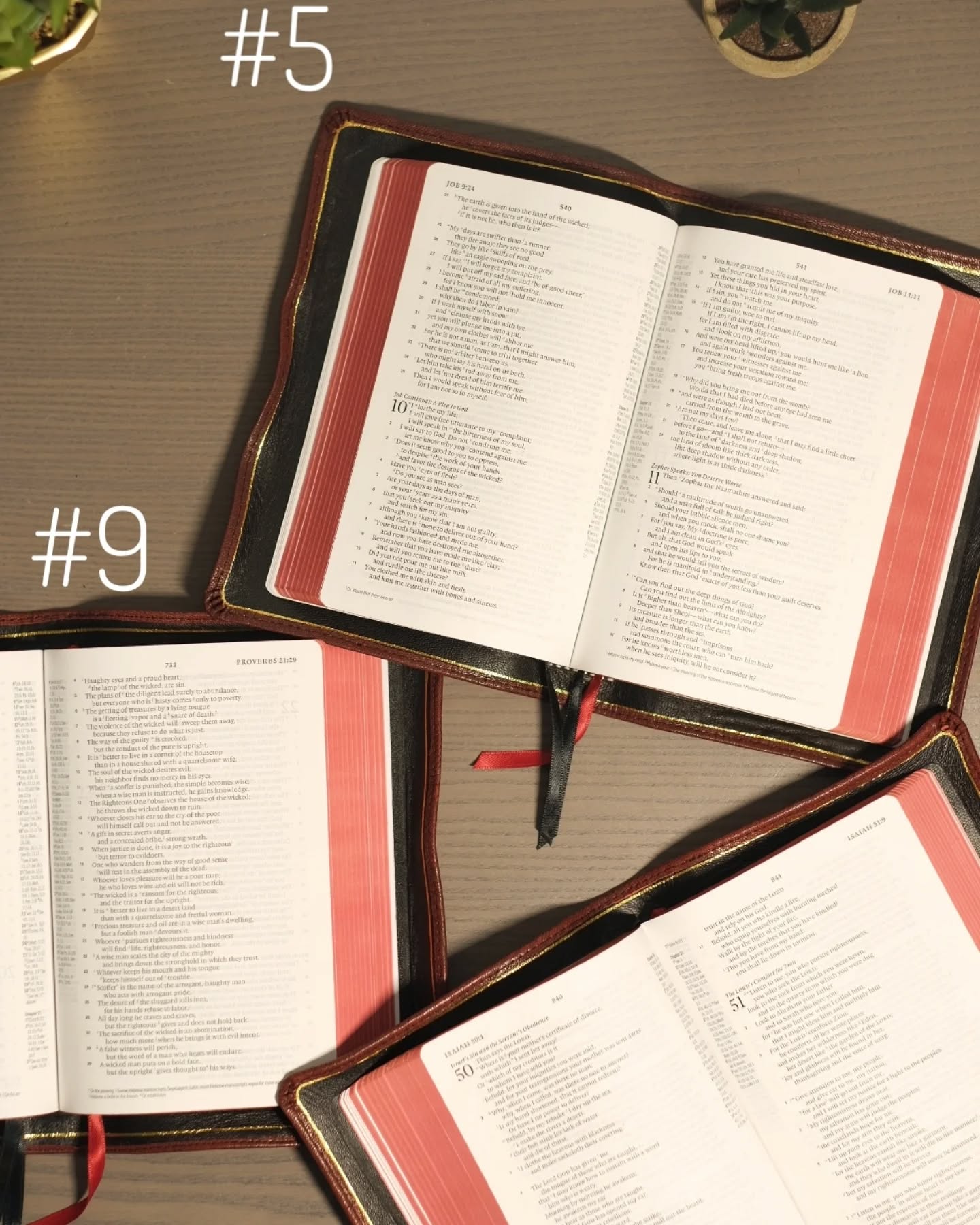 Red Wine Goatskin ESV thumbnail 5