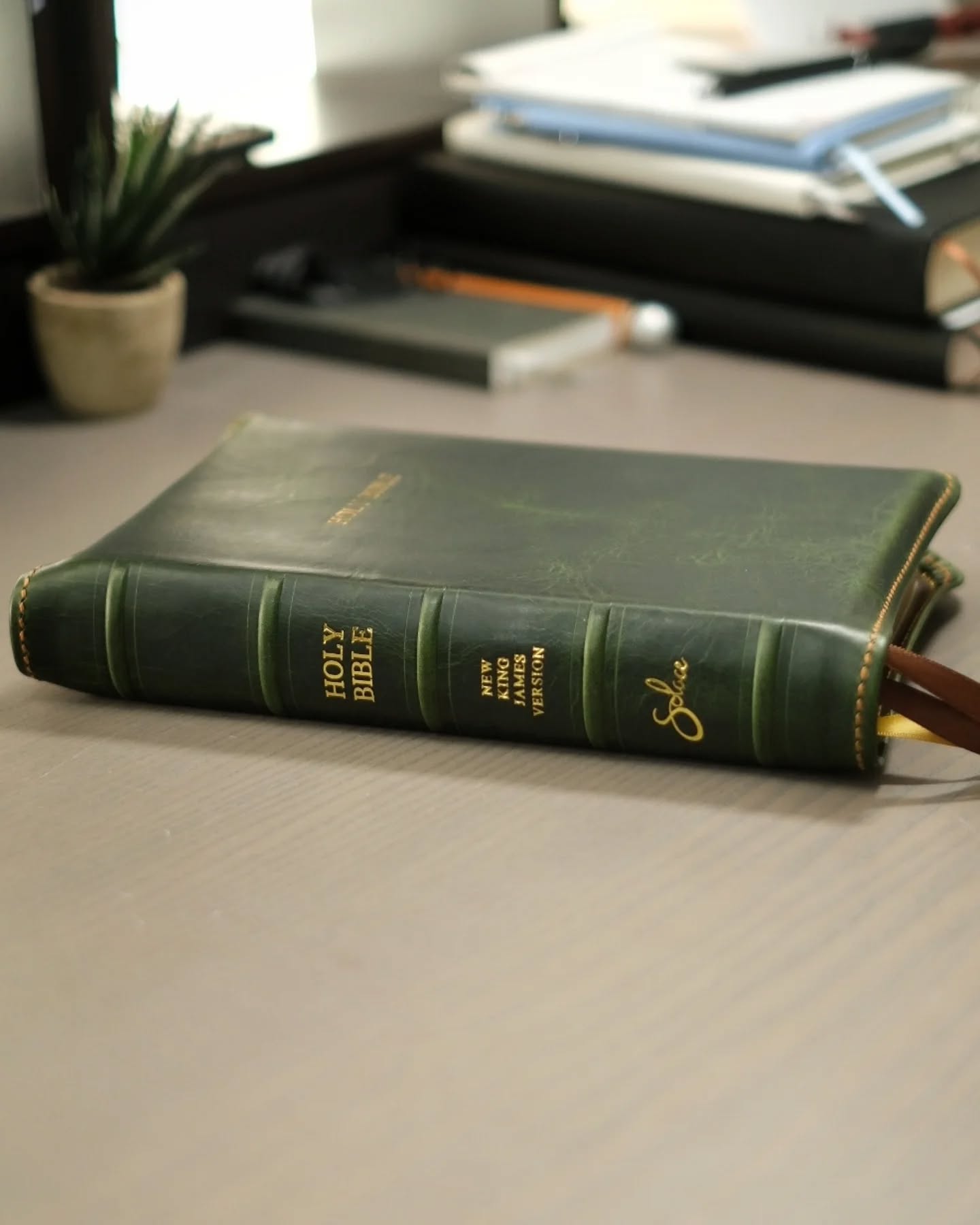 Brown Badalassi Carlo Waxy NKJV thumbnail 2