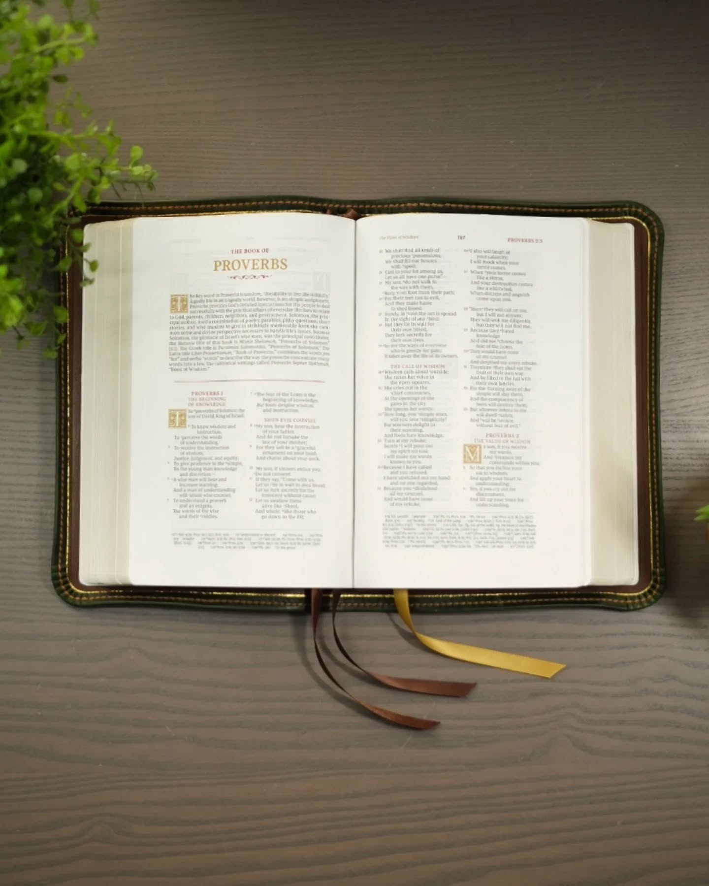 Brown Badalassi Carlo Waxy NKJV thumbnail 3