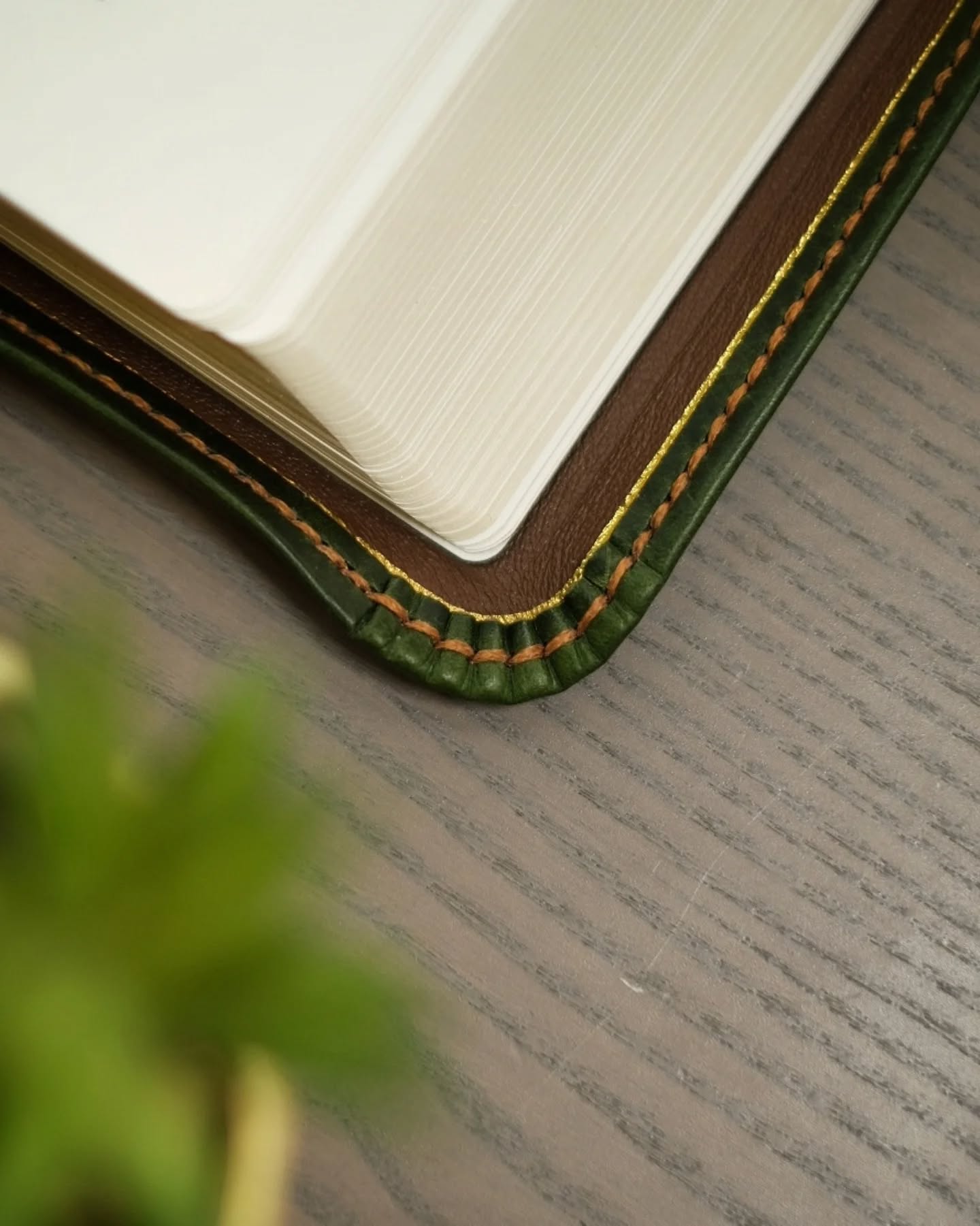 Brown Badalassi Carlo Waxy NKJV thumbnail 4