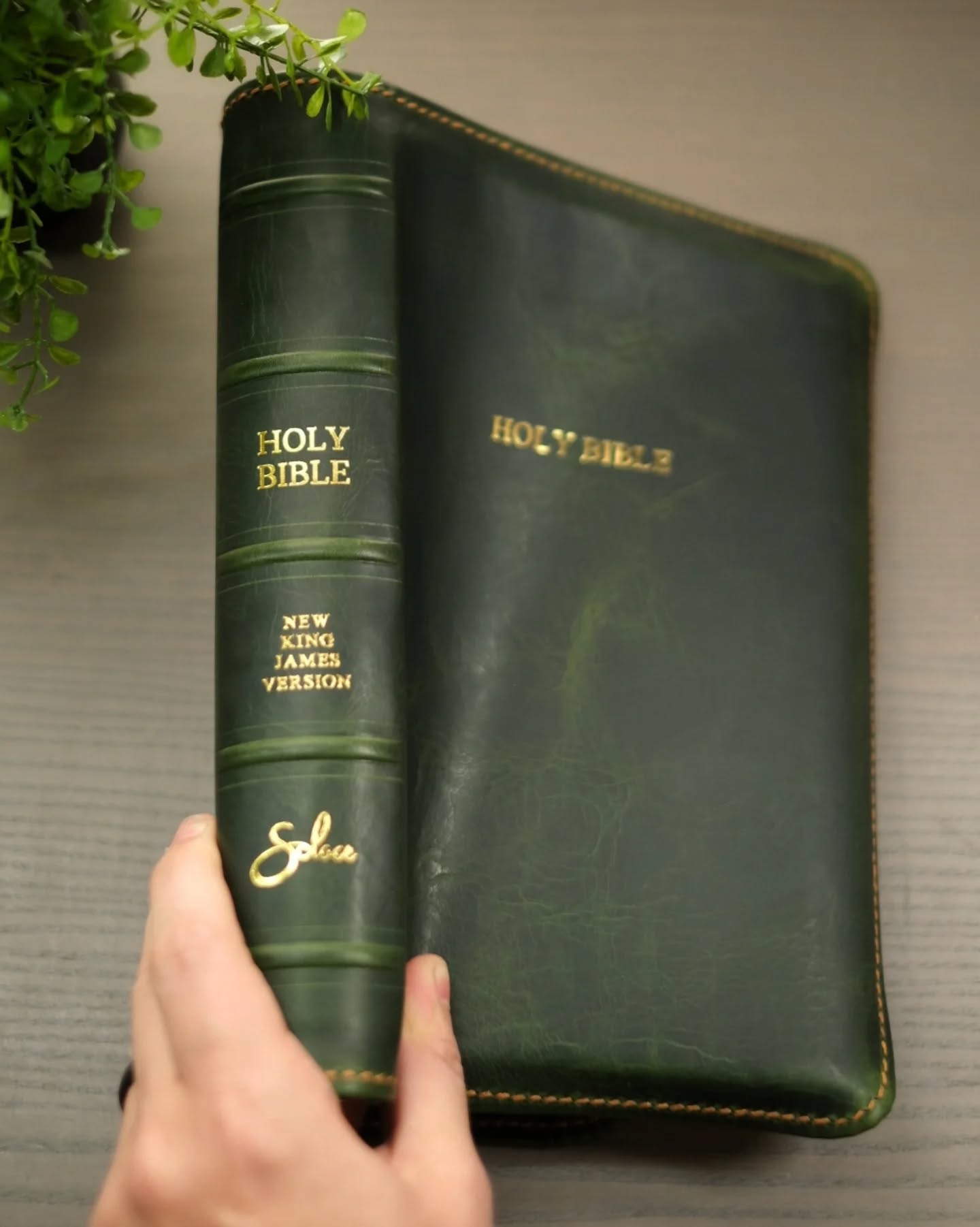 Brown Badalassi Carlo Waxy NKJV thumbnail 5