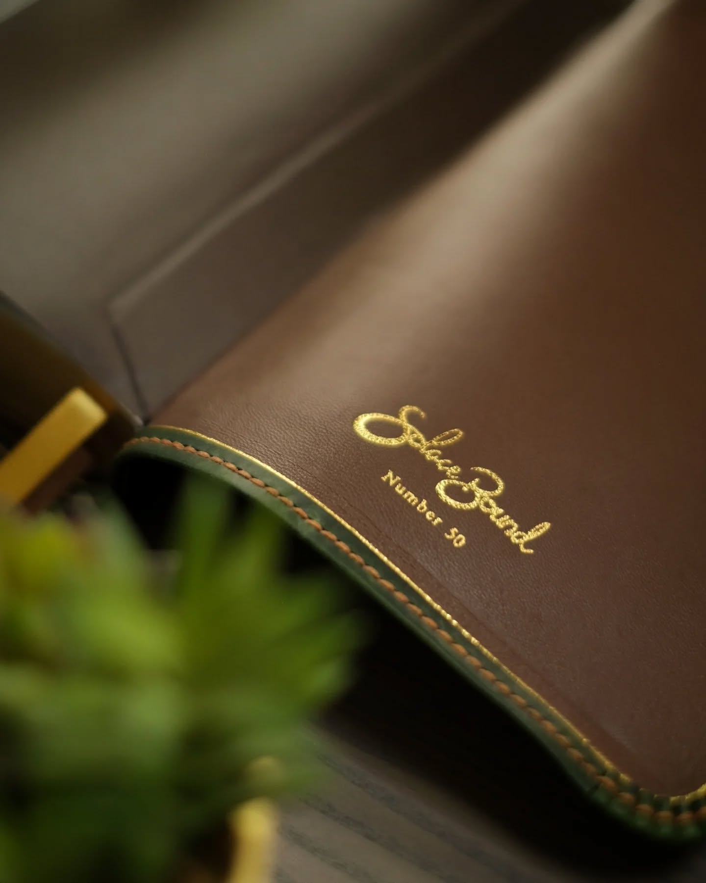 Brown Badalassi Carlo Waxy NKJV thumbnail 6