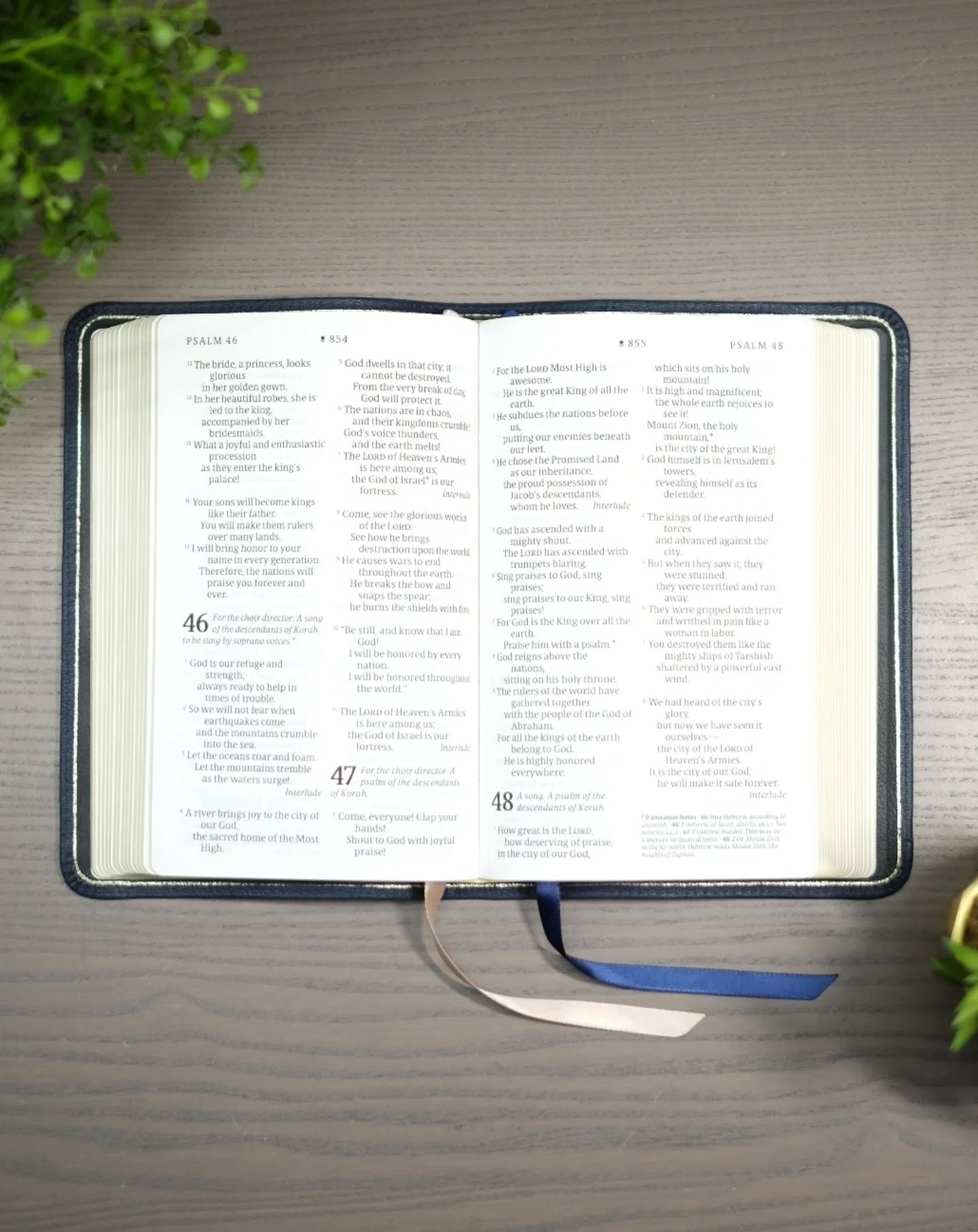 Pacific Blue French Luxury Chèvre NLT thumbnail 3