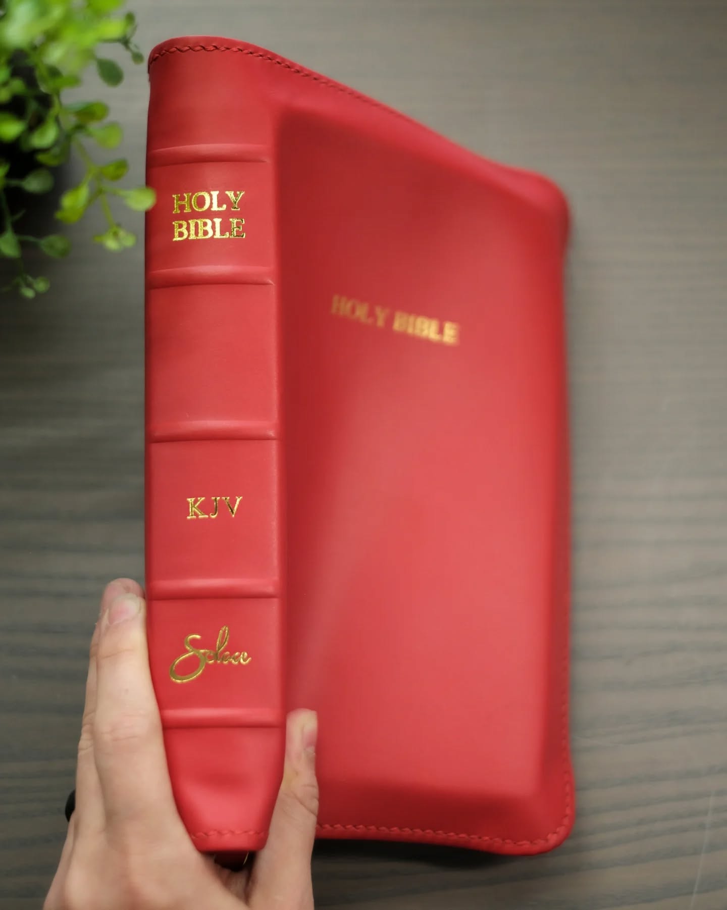 Ice Luxury Smooth Grain Calfskin KJV thumbnail 5