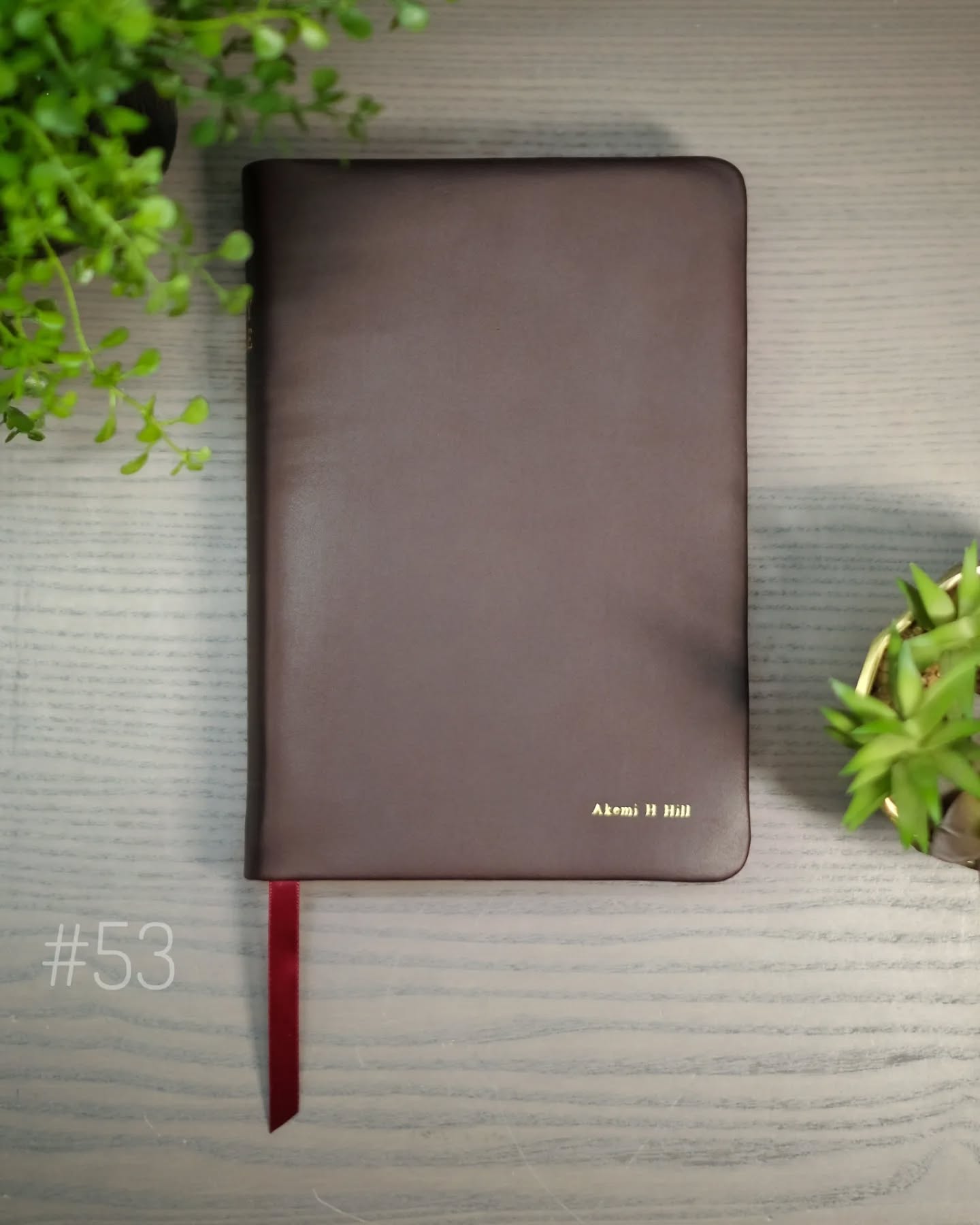 Oxblood Seidel Double Shot KJV thumbnail 2