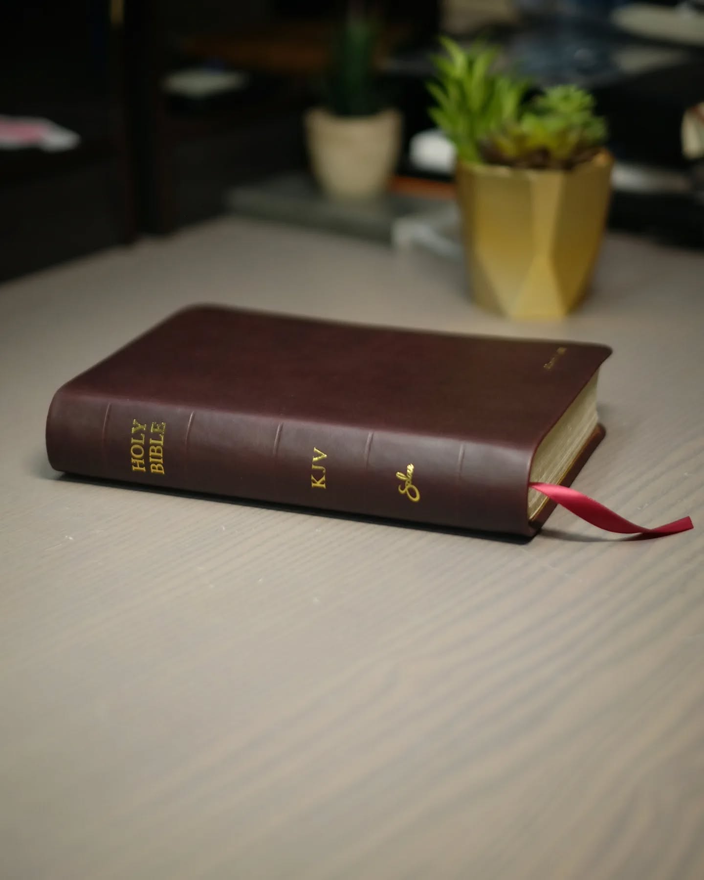 Oxblood Seidel Double Shot KJV thumbnail 3