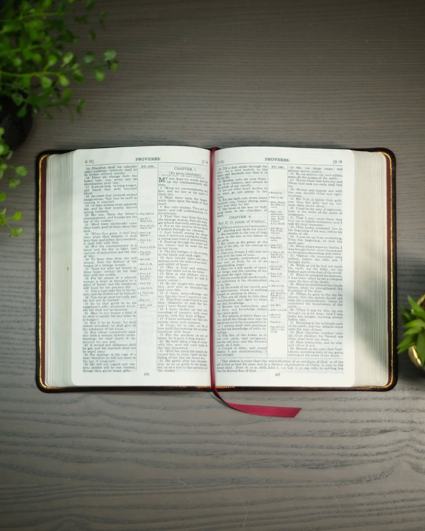 Oxblood Seidel Double Shot KJV thumbnail 4