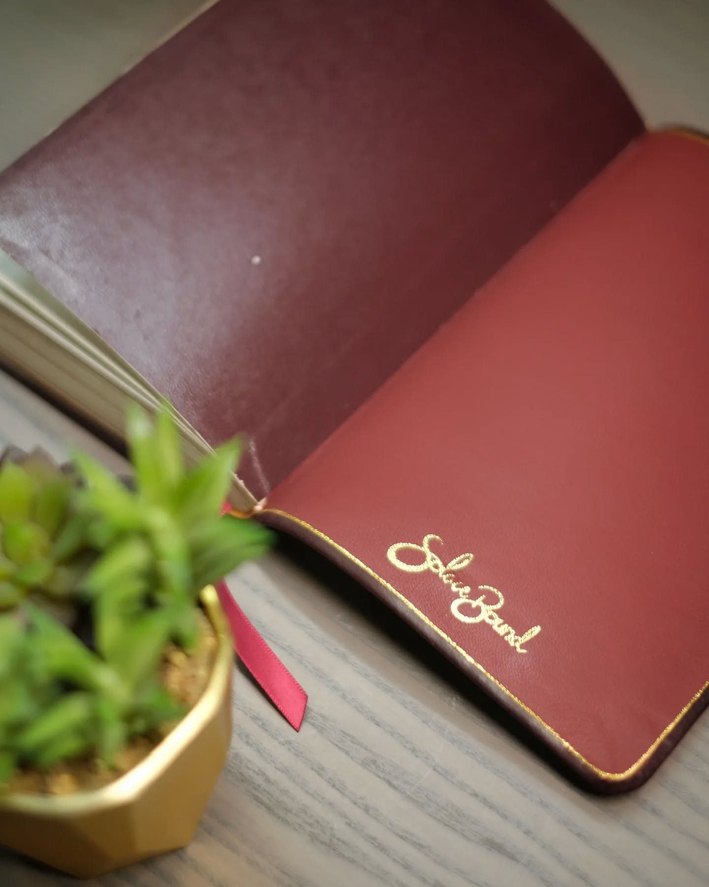 Oxblood Seidel Double Shot KJV thumbnail 5