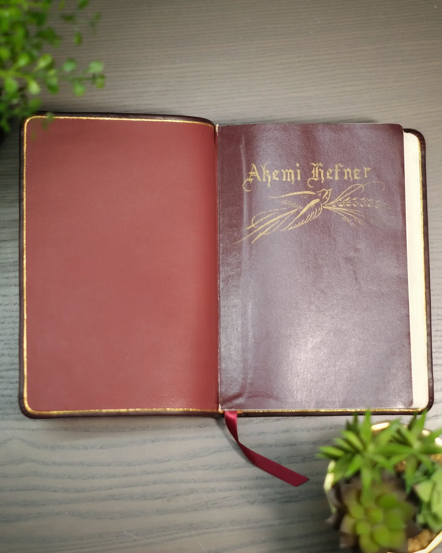 Oxblood Seidel Double Shot KJV thumbnail 6