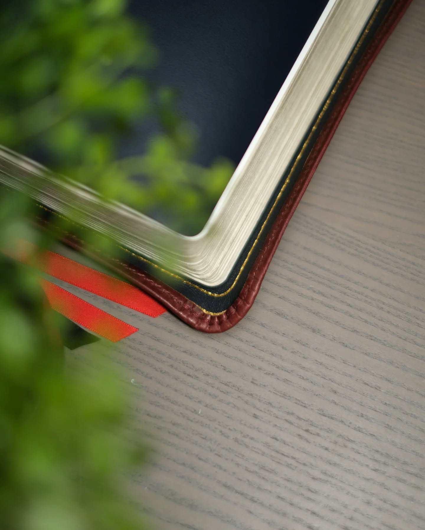 Cranberry Horween Dublin KJV thumbnail 3