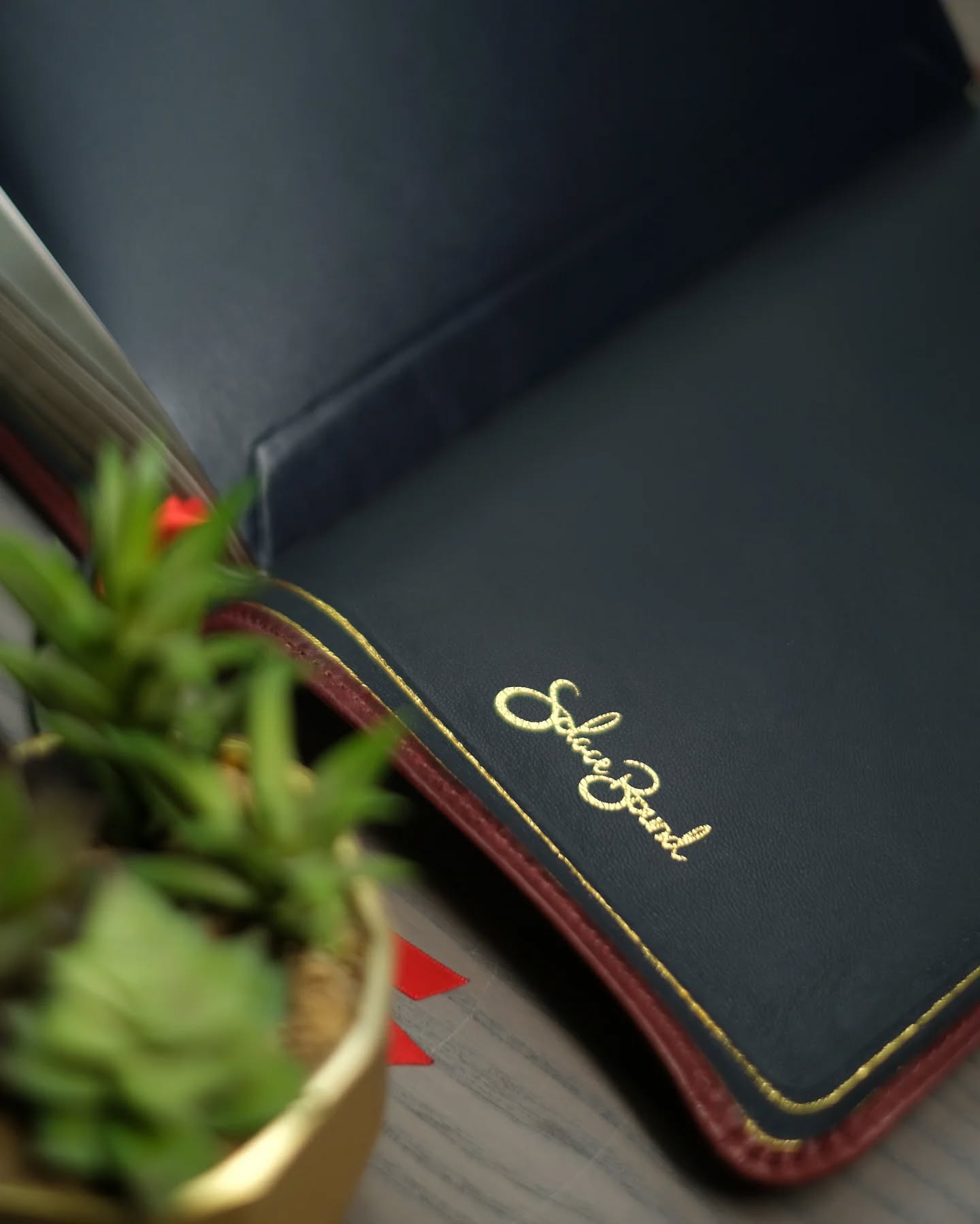 Cranberry Horween Dublin KJV thumbnail 6