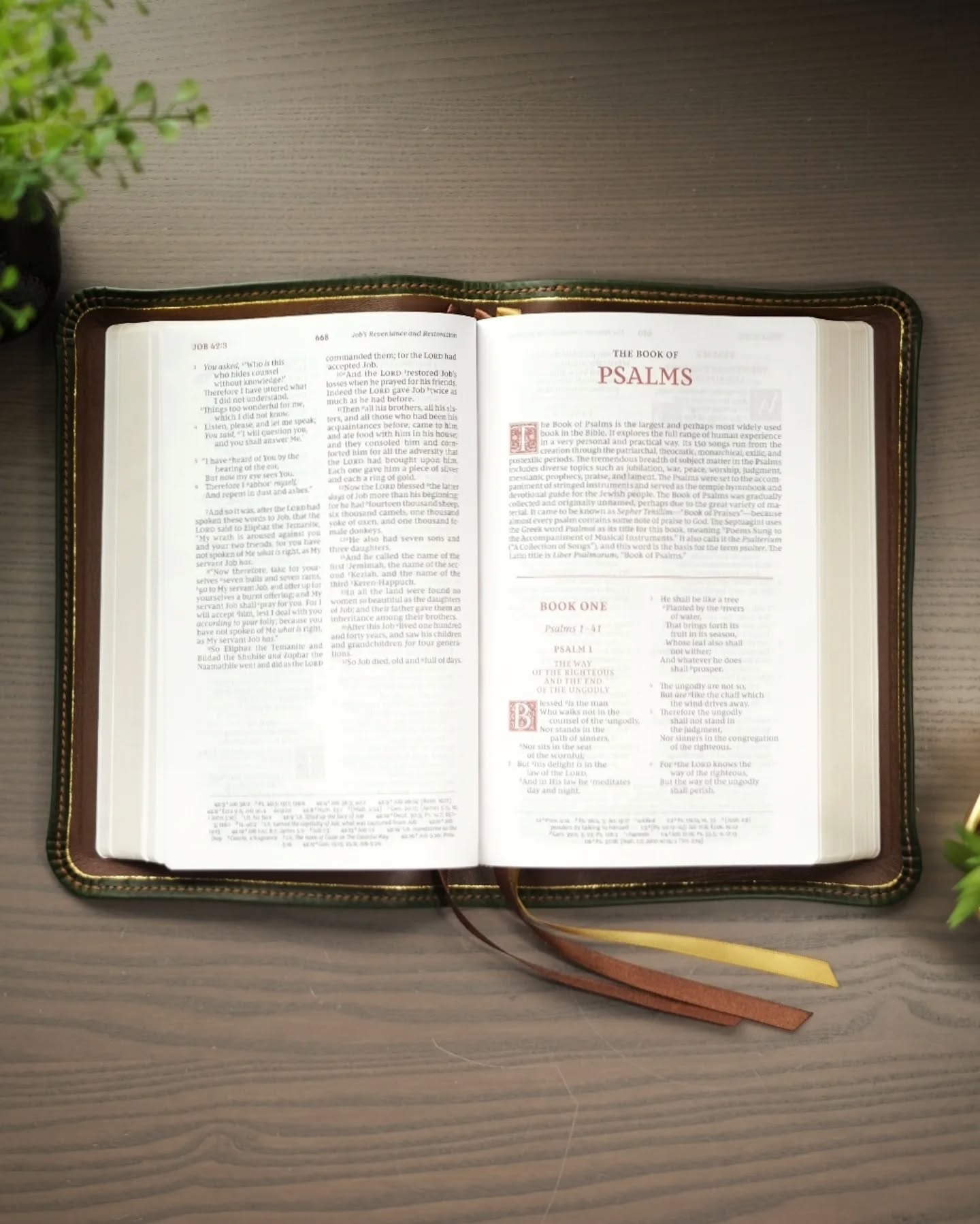 Green Badalassi Carlo Waxy NKJV thumbnail 4