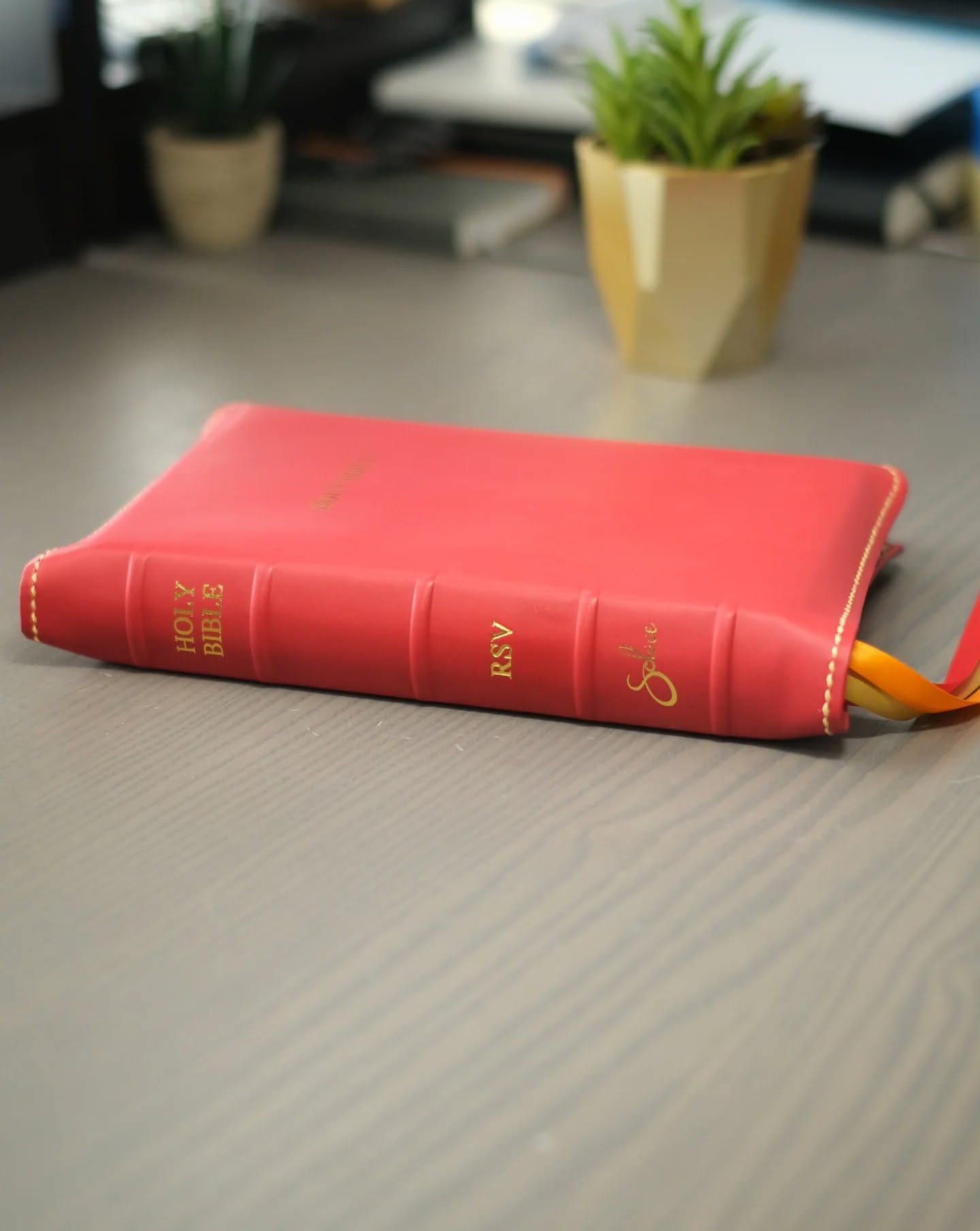 Red Luxury Smooth Grain Calfskin RSV thumbnail 2