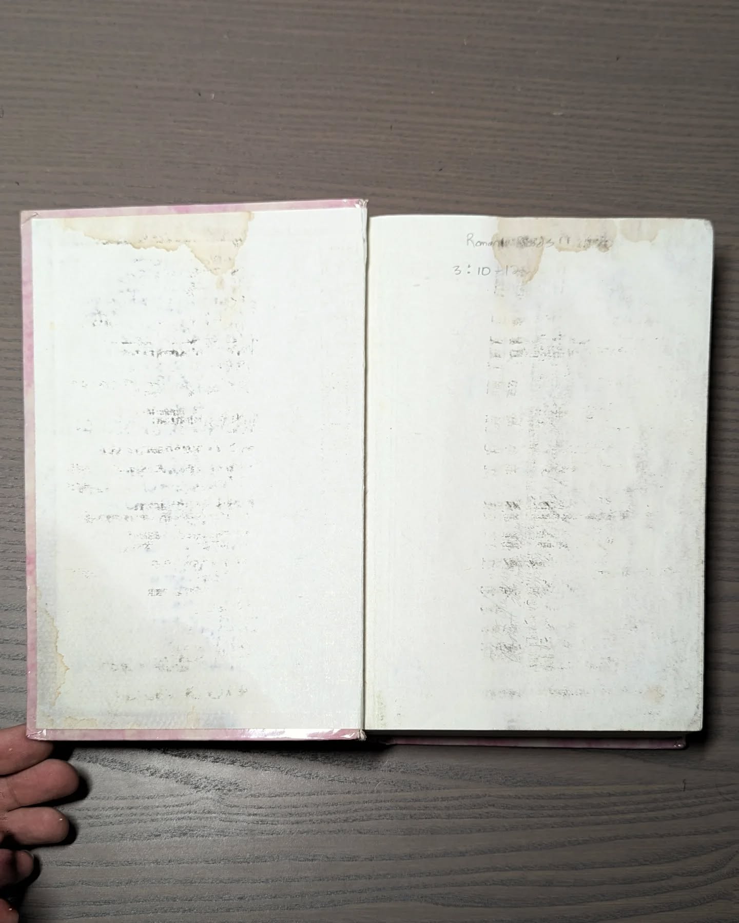 Green Goatskin NIV thumbnail 11