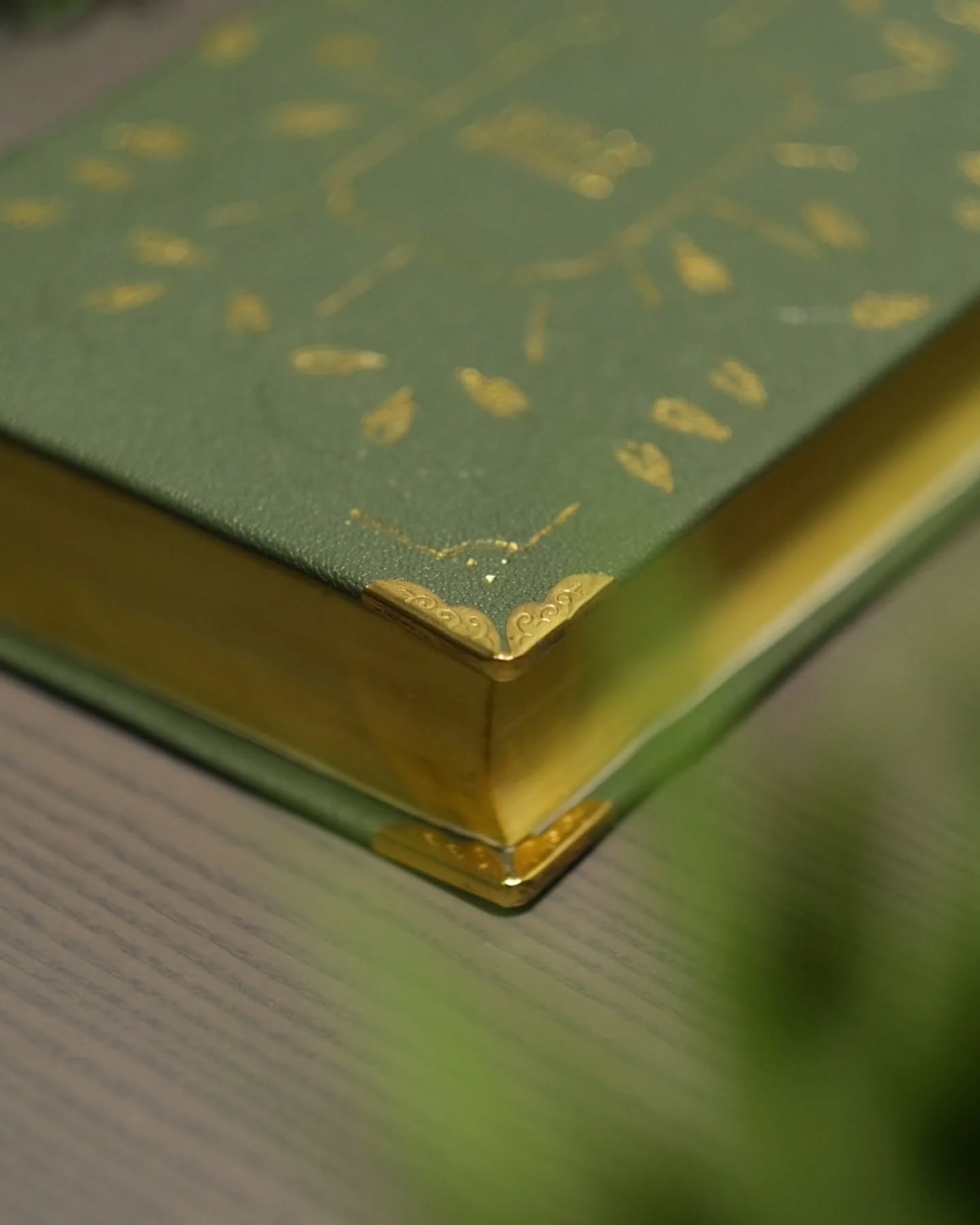 Green Goatskin NIV thumbnail 3