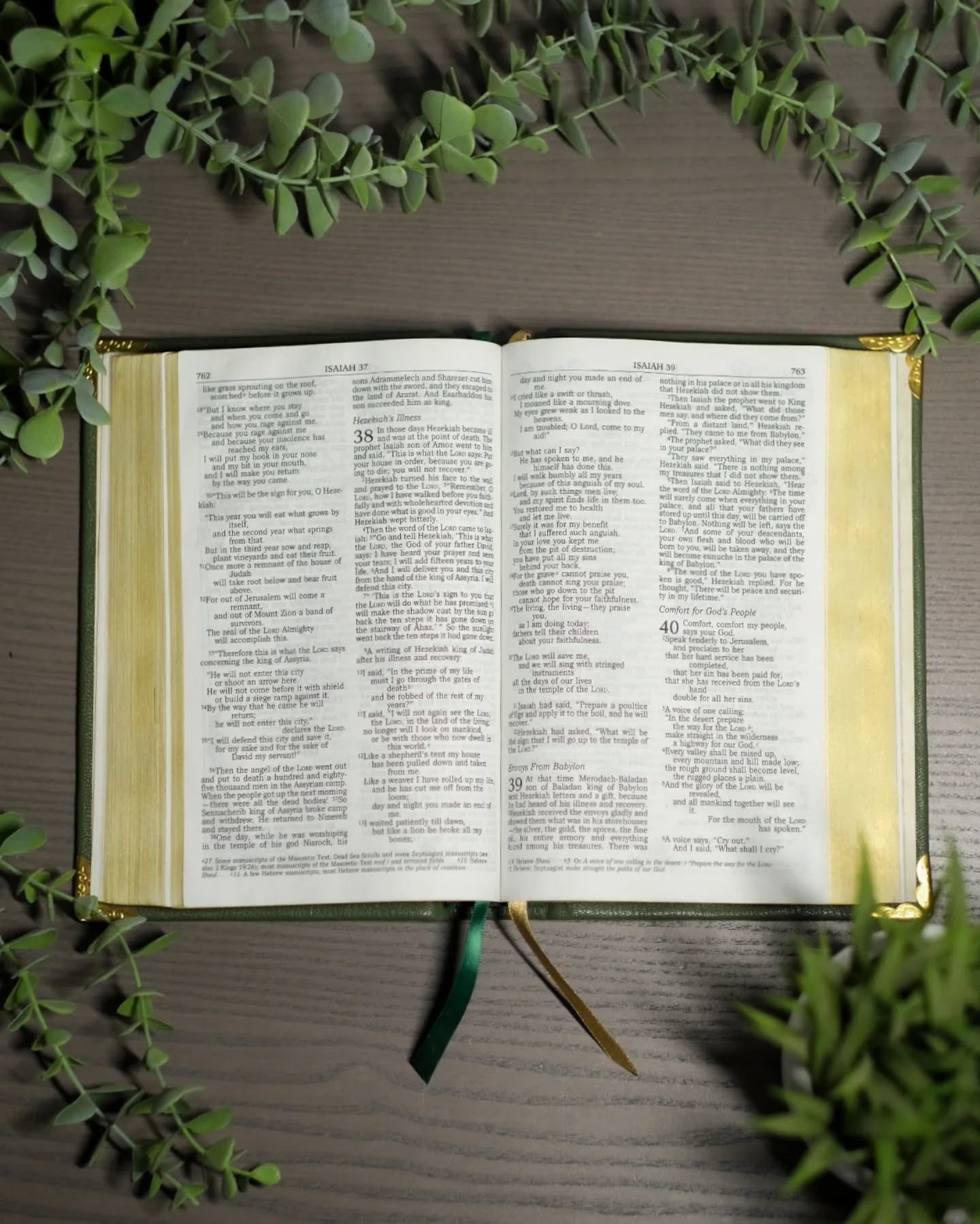 Green Goatskin NIV thumbnail 5