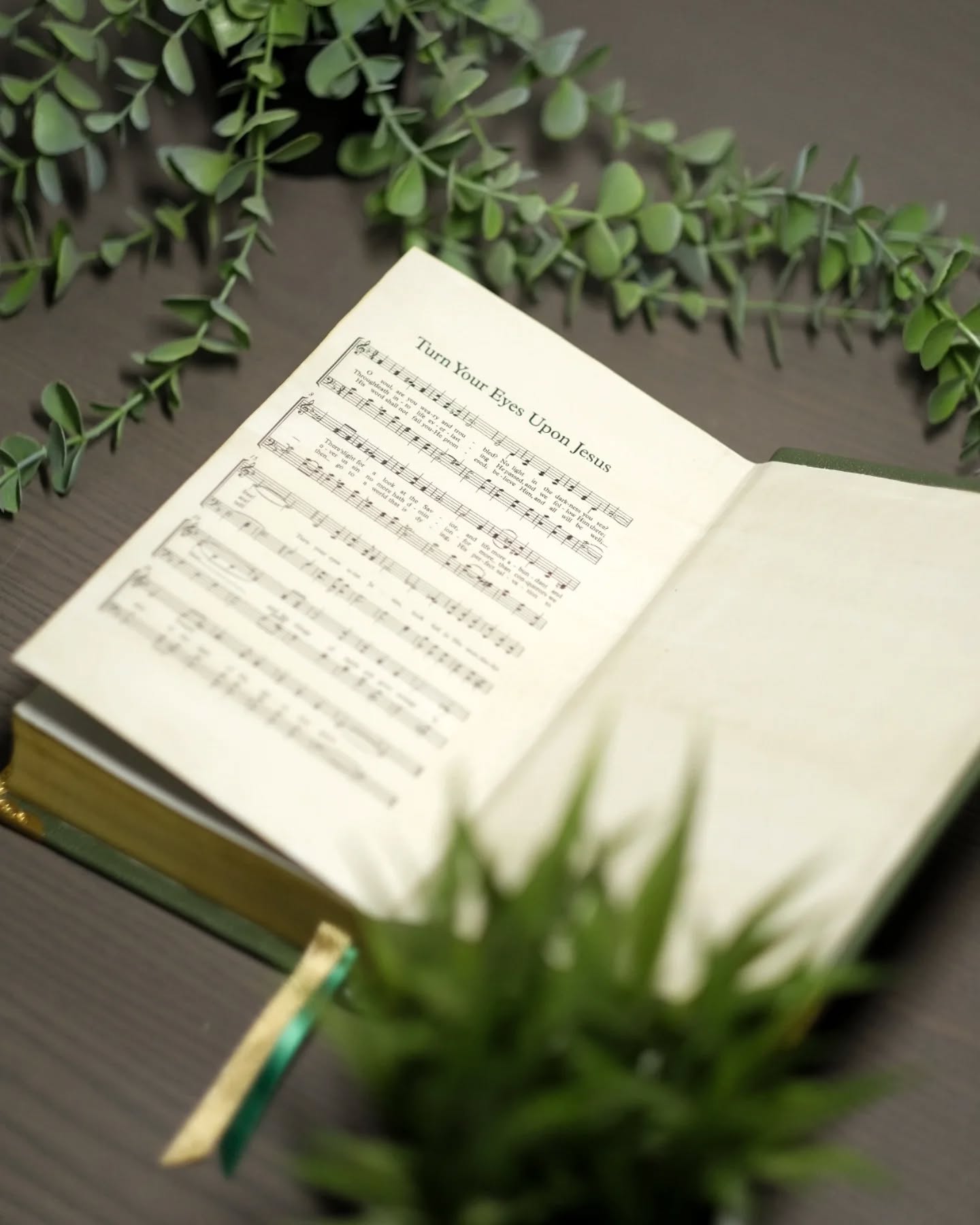 Green Goatskin NIV thumbnail 7