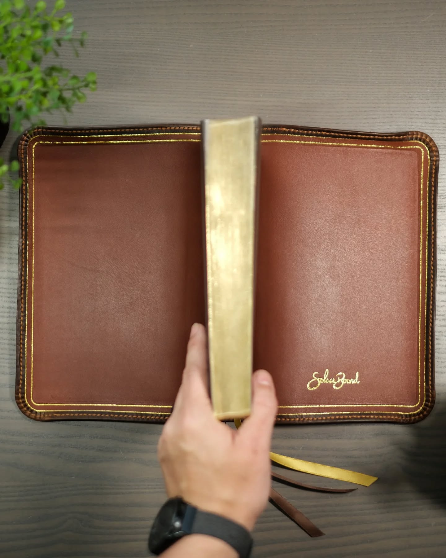 Brown Badalassi Carlo Waxy NKJV thumbnail 7