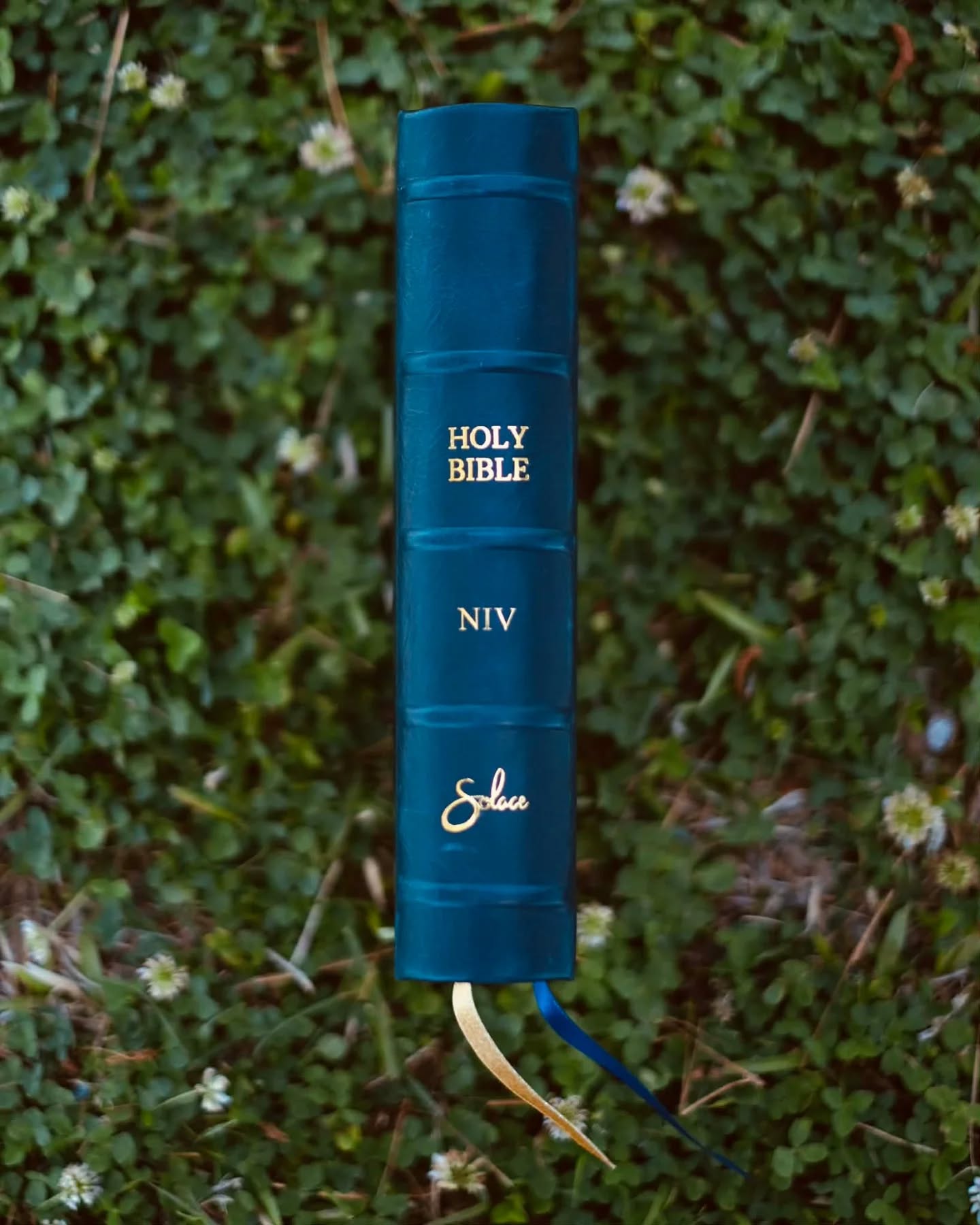 Navy Badalassi Carlo Waxy NIV thumbnail 3