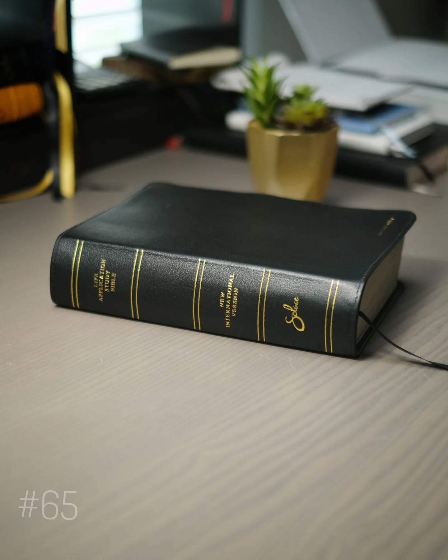 Black Goatskin NIV