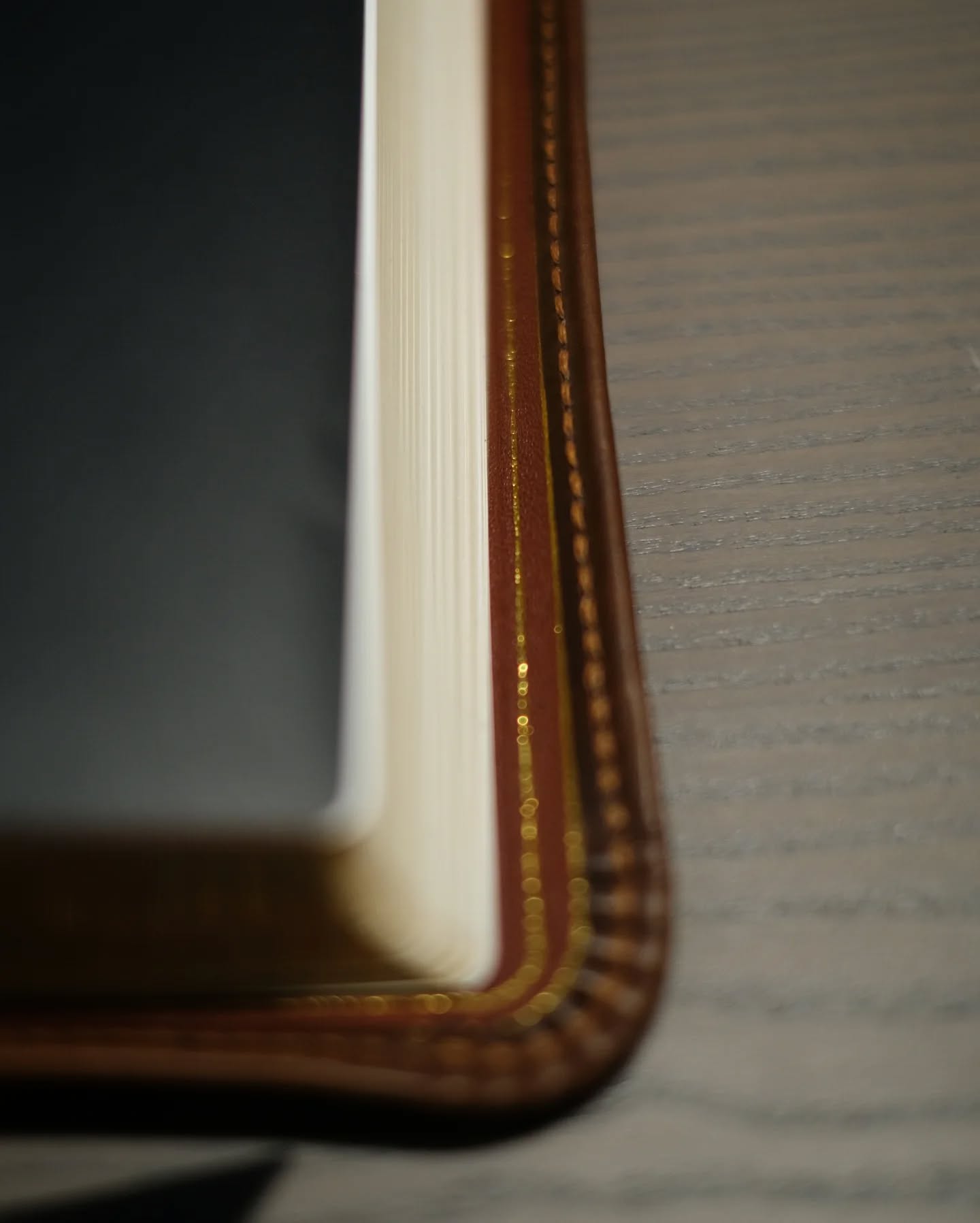 Brown Badalassi Carlo Waxy ESV thumbnail 8