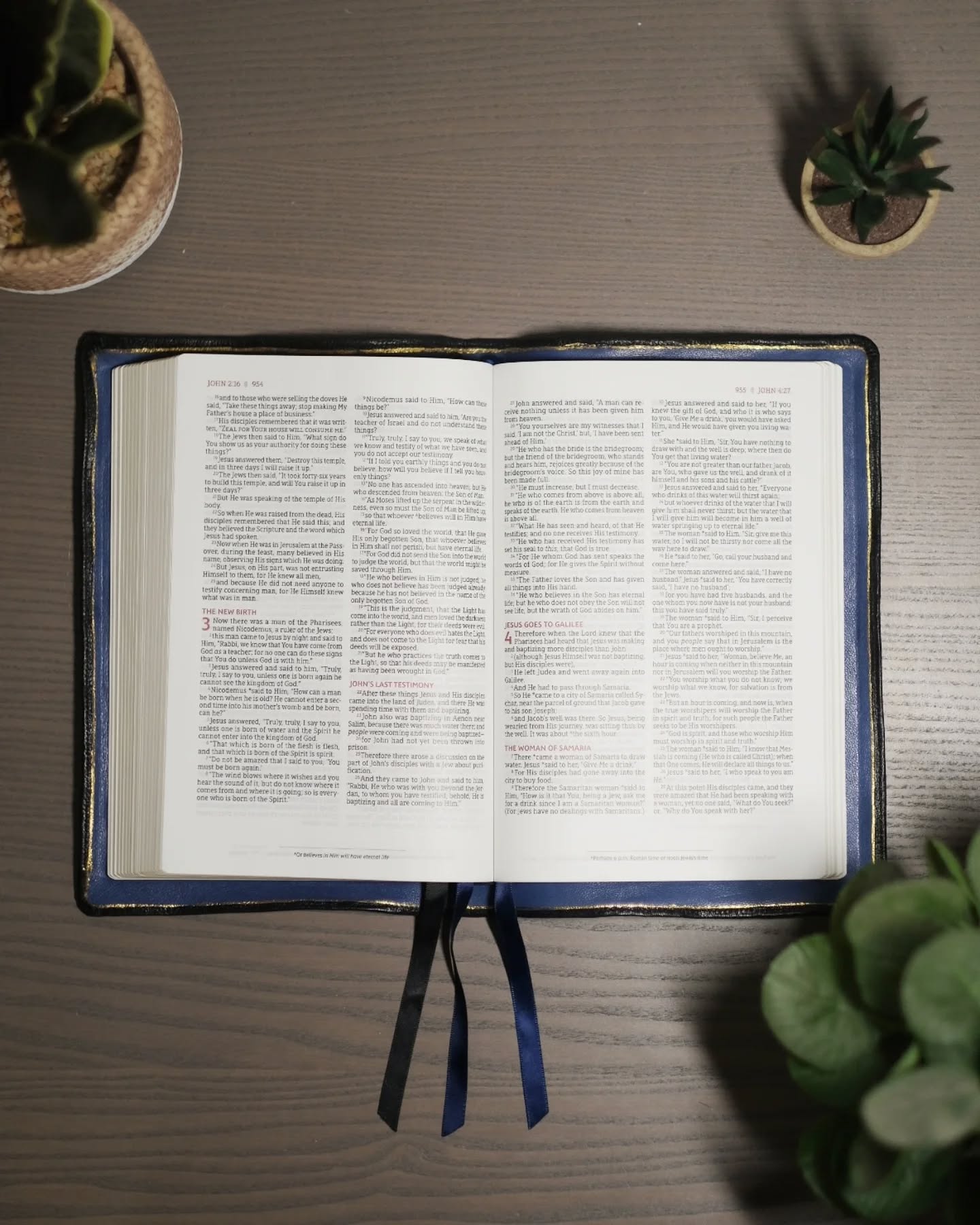 This Is BIBLE thumbnail 4