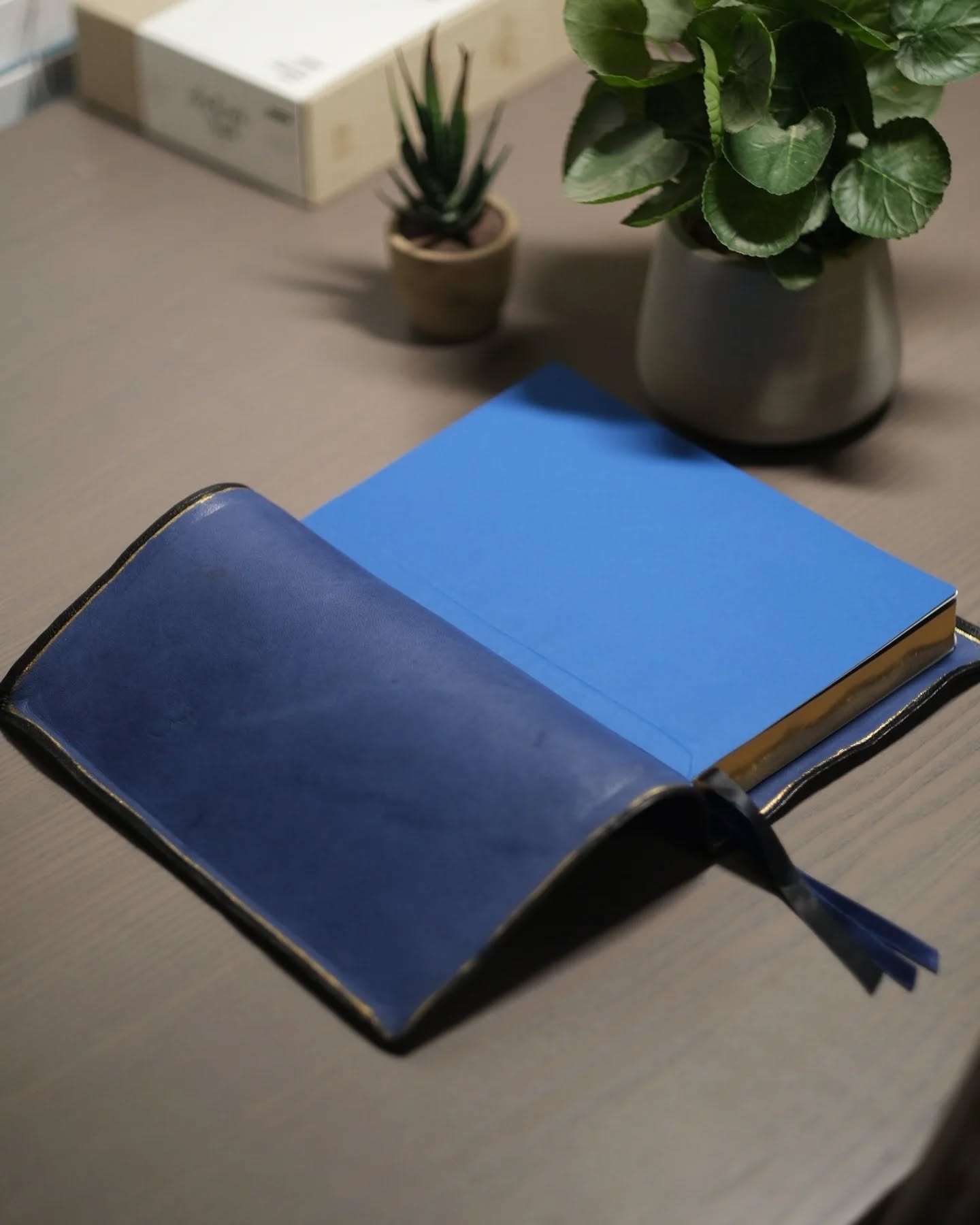 This Is BIBLE thumbnail 5