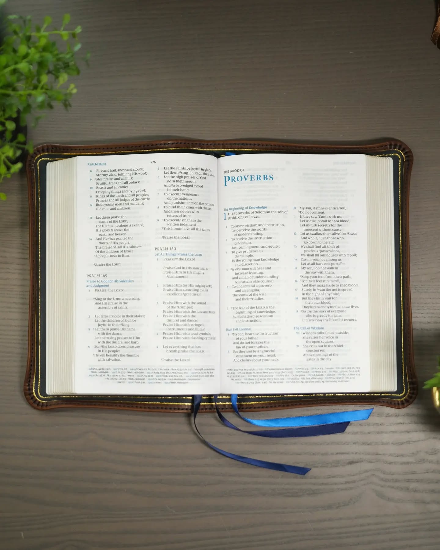 Navy Badalassi Carlo Waxy NKJV thumbnail 3