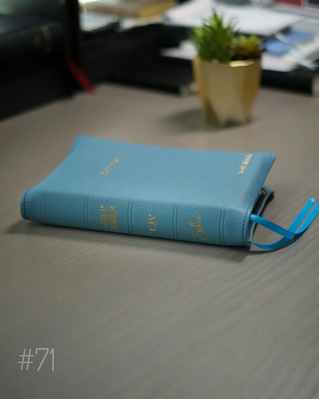 Blue Goatskin KJV