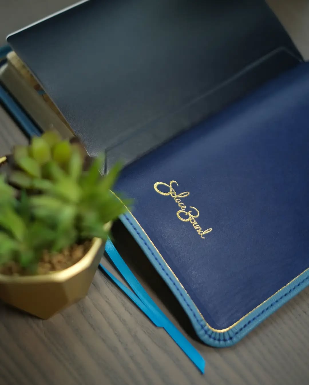 Blue Goatskin KJV thumbnail 5