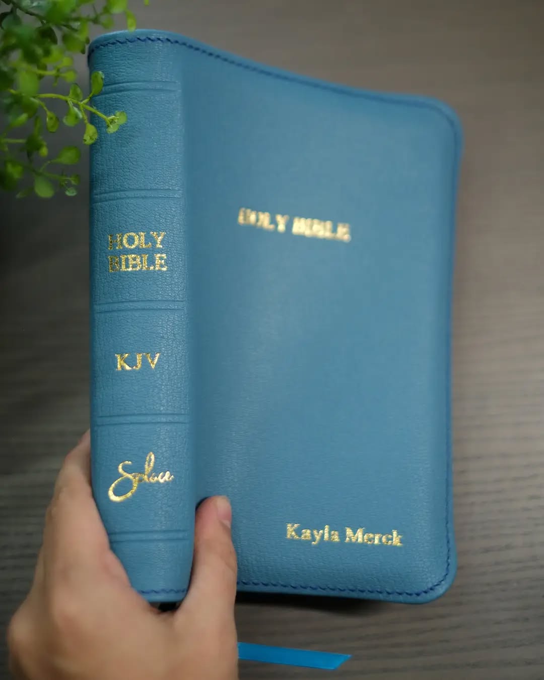 Blue Goatskin KJV thumbnail 6