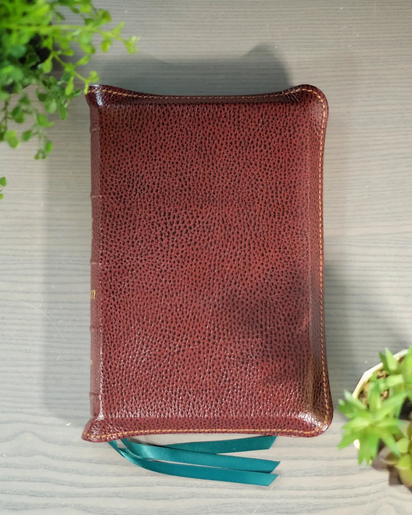 Brown Goatskin NASB thumbnail 2