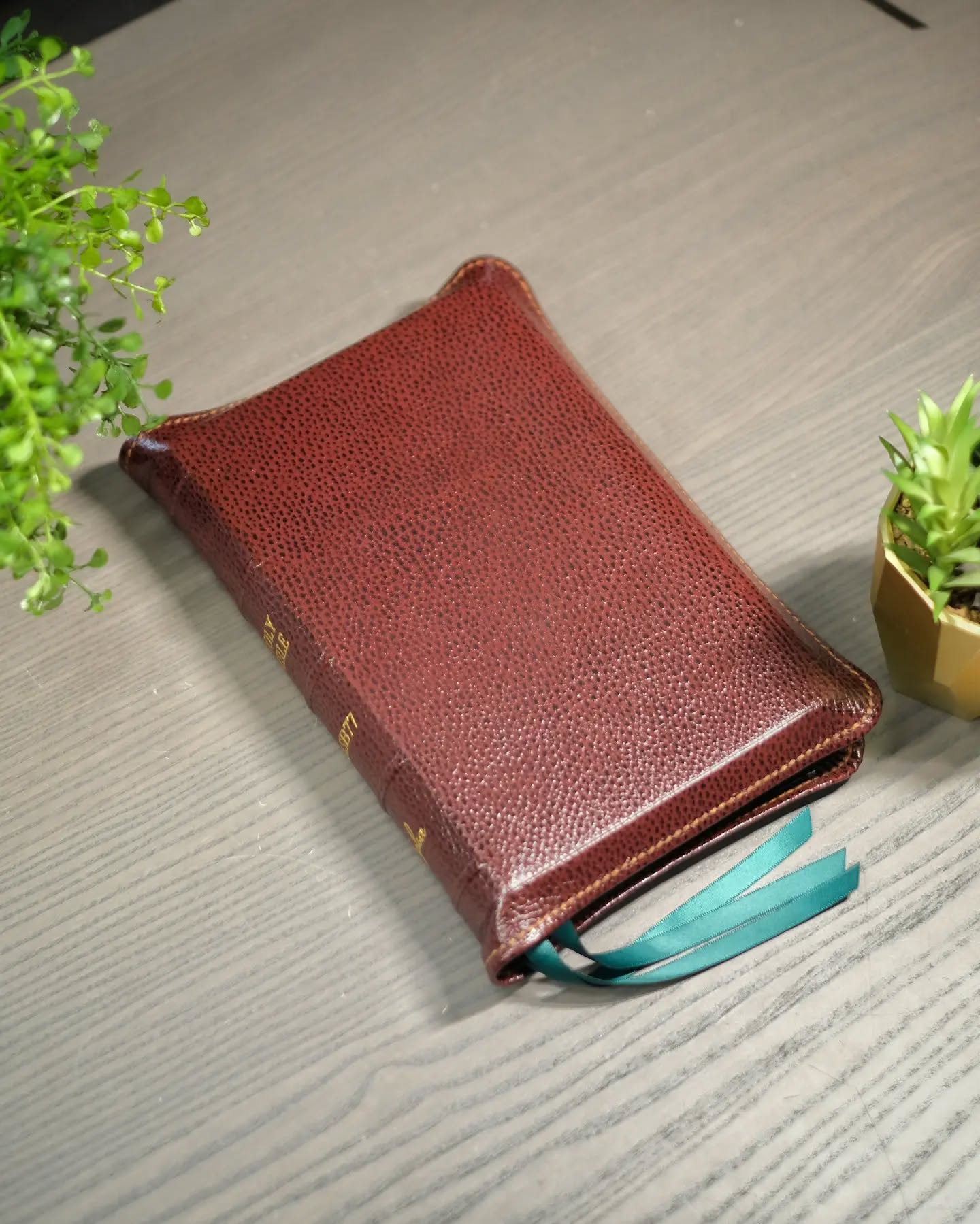 Brown Goatskin NASB thumbnail 4