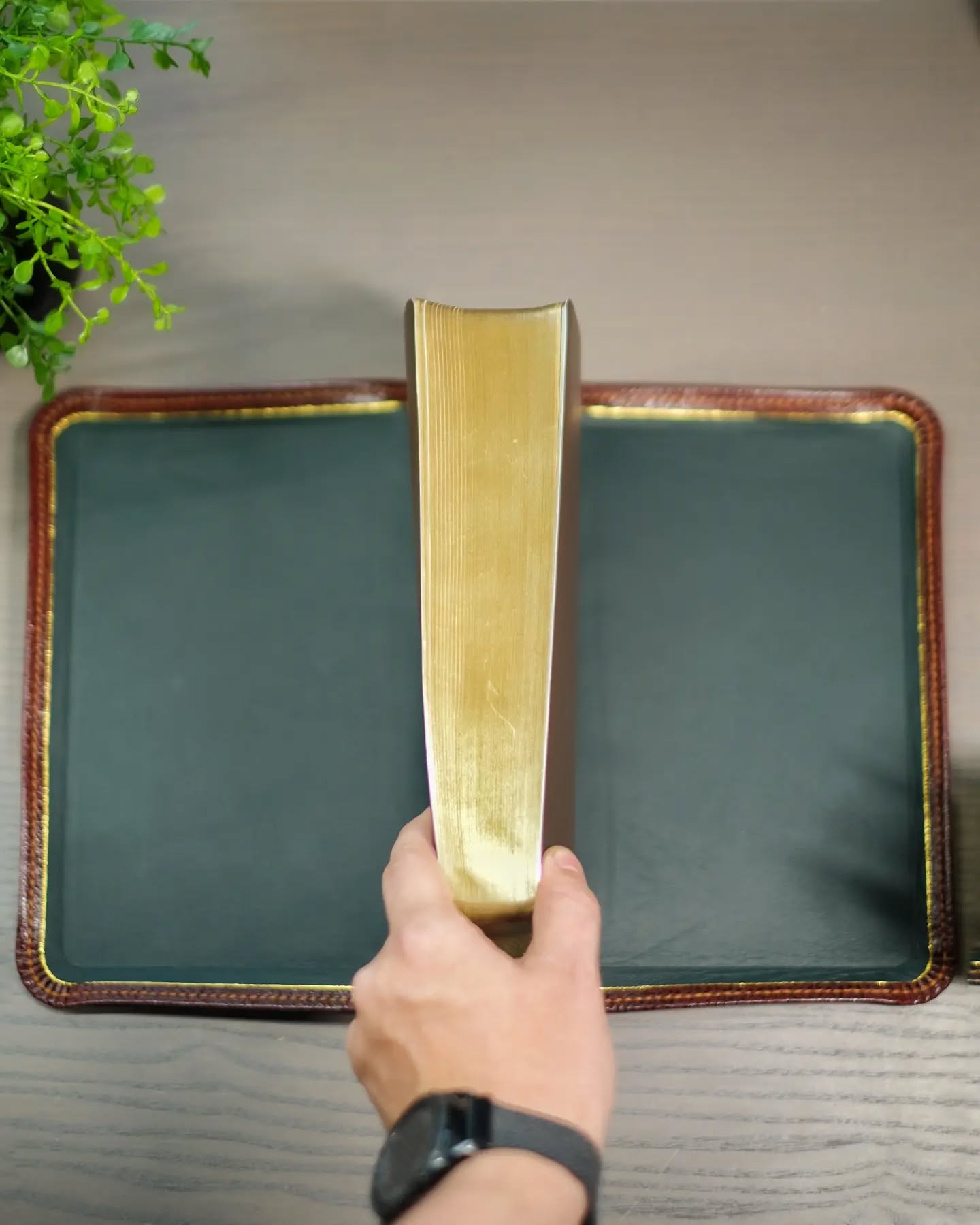 Brown Goatskin NASB thumbnail 6