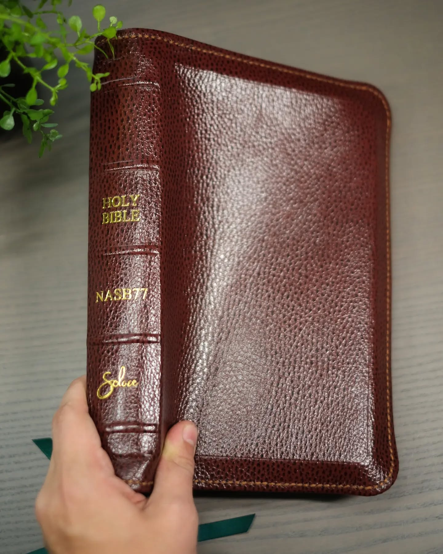 Brown Goatskin NASB thumbnail 7
