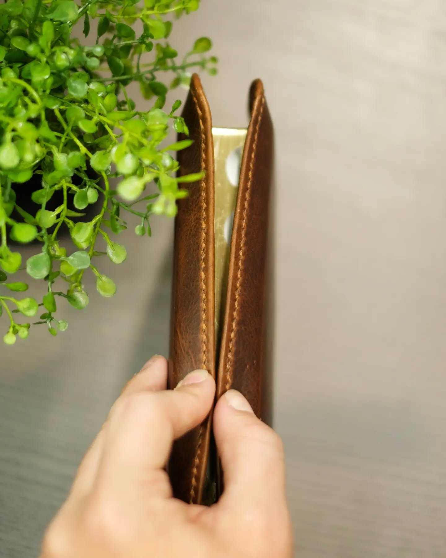 Brown Badalassi Carlo Waxy NKJV thumbnail 6