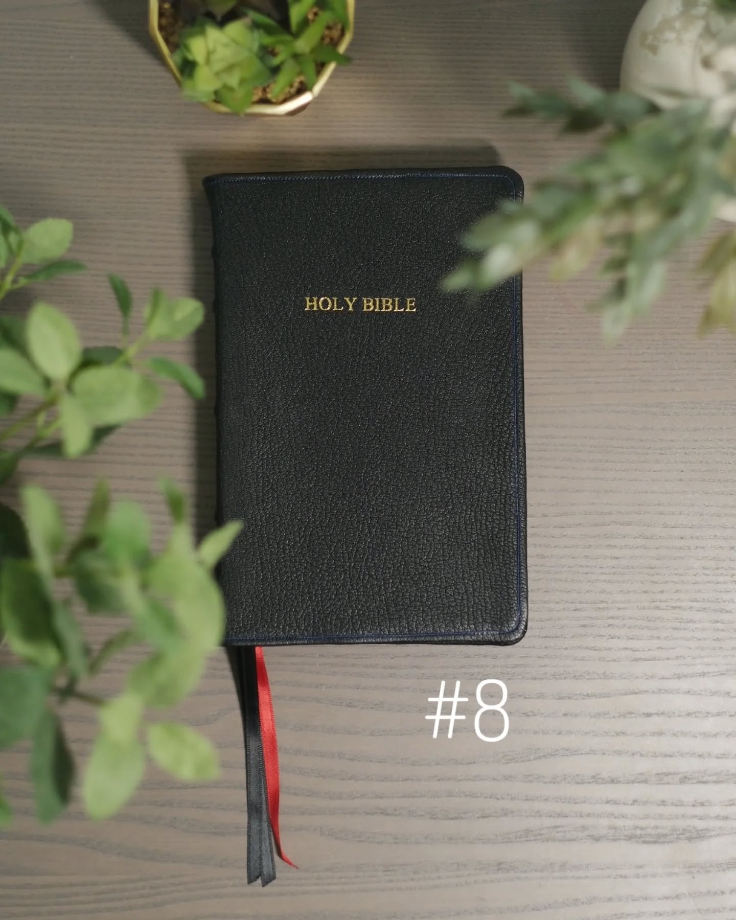 Black Alran Sully CSB