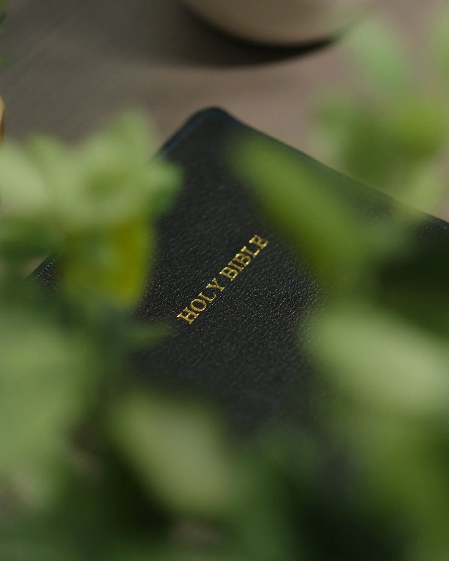 Black Alran Sully CSB thumbnail 2